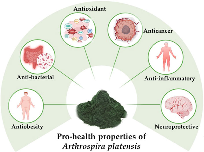 Pro-health properties of Arthrospira platensis are depicted, including antioxidant, anticancer, anti-inflammatory, neuroprotective, antibacterial, and antiobesity benefits. Each property is illustrated with related imagery around a central green powder.