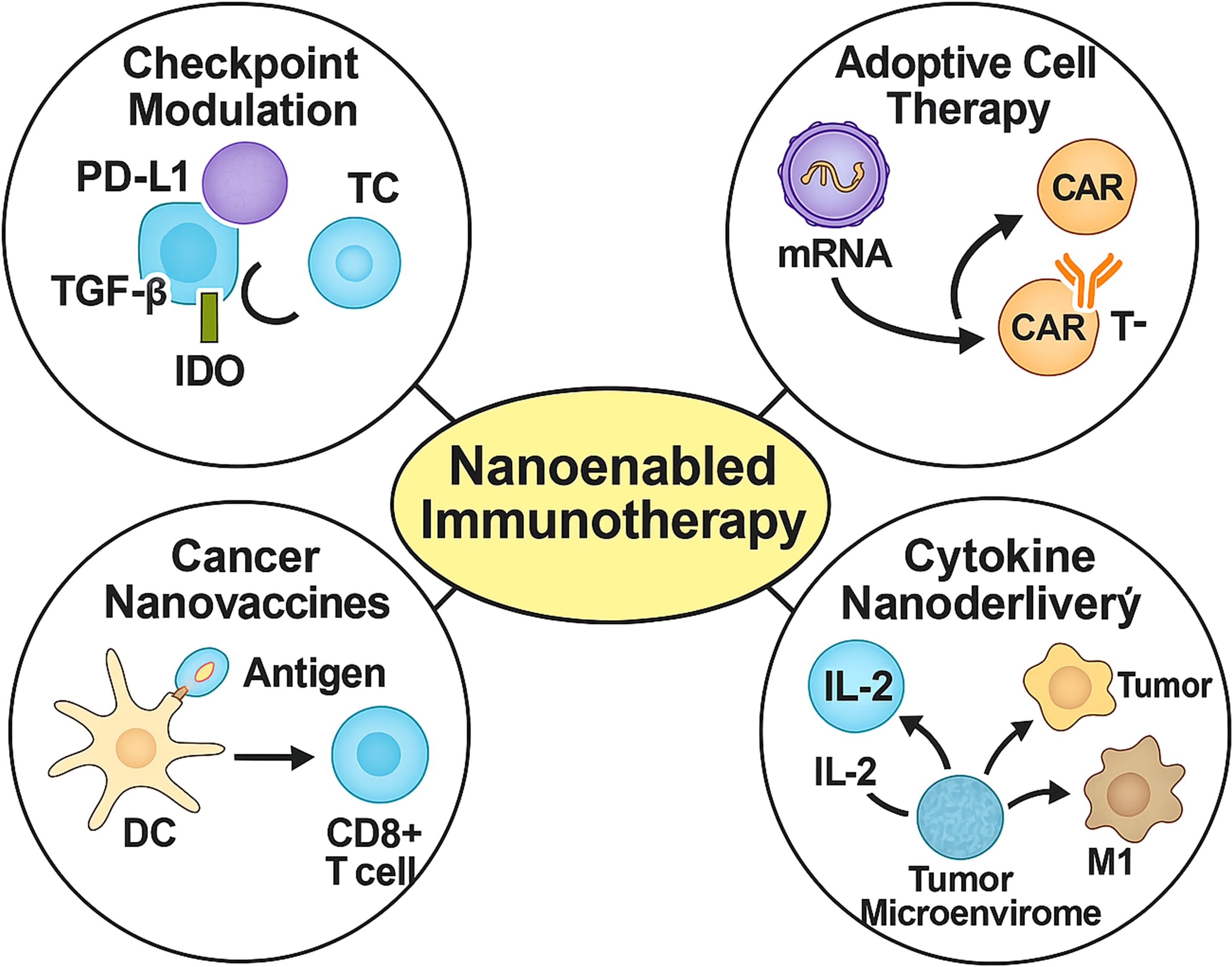 Diagram illustrating nanoenabled immunotherapy with four components: Checkpoint Modulation (PD-L1, TGF-β, IDO impacting TC), Adoptive Cell Therapy (mRNA, CAR, and T cells), Cancer Nanovaccines (antigens, dendritic cells, CD8+ T cells), and Cytokine Nanodelivery (IL-2 affecting tumor and microenvironment).