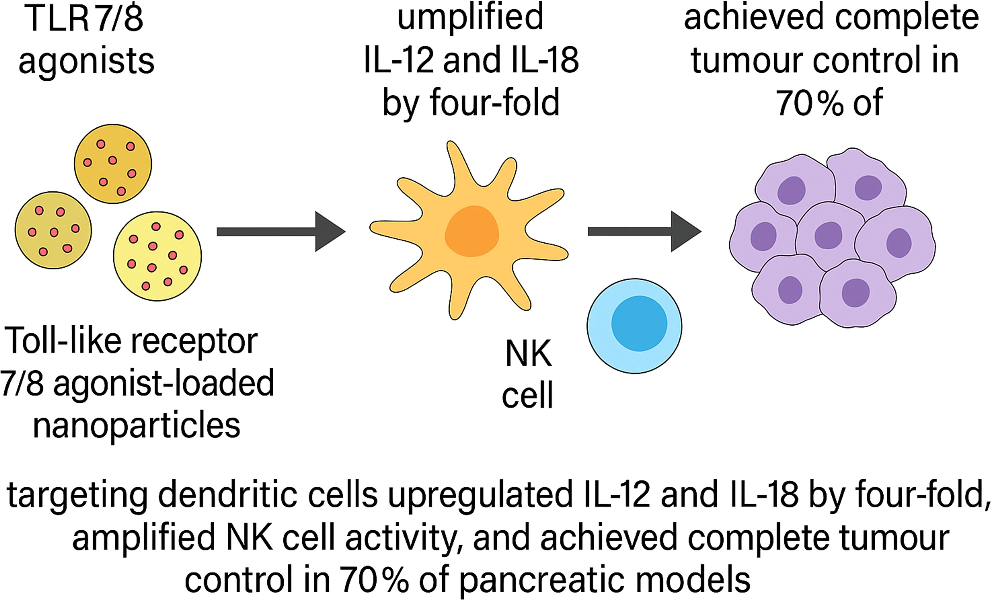 Toll-like receptor 7/8 agonist-loaded nanoparticles target dendritic cells, amplifying IL-12 and IL-18 fourfold. This enhances NK cell activity, achieving complete tumor control in 70% of pancreatic models.