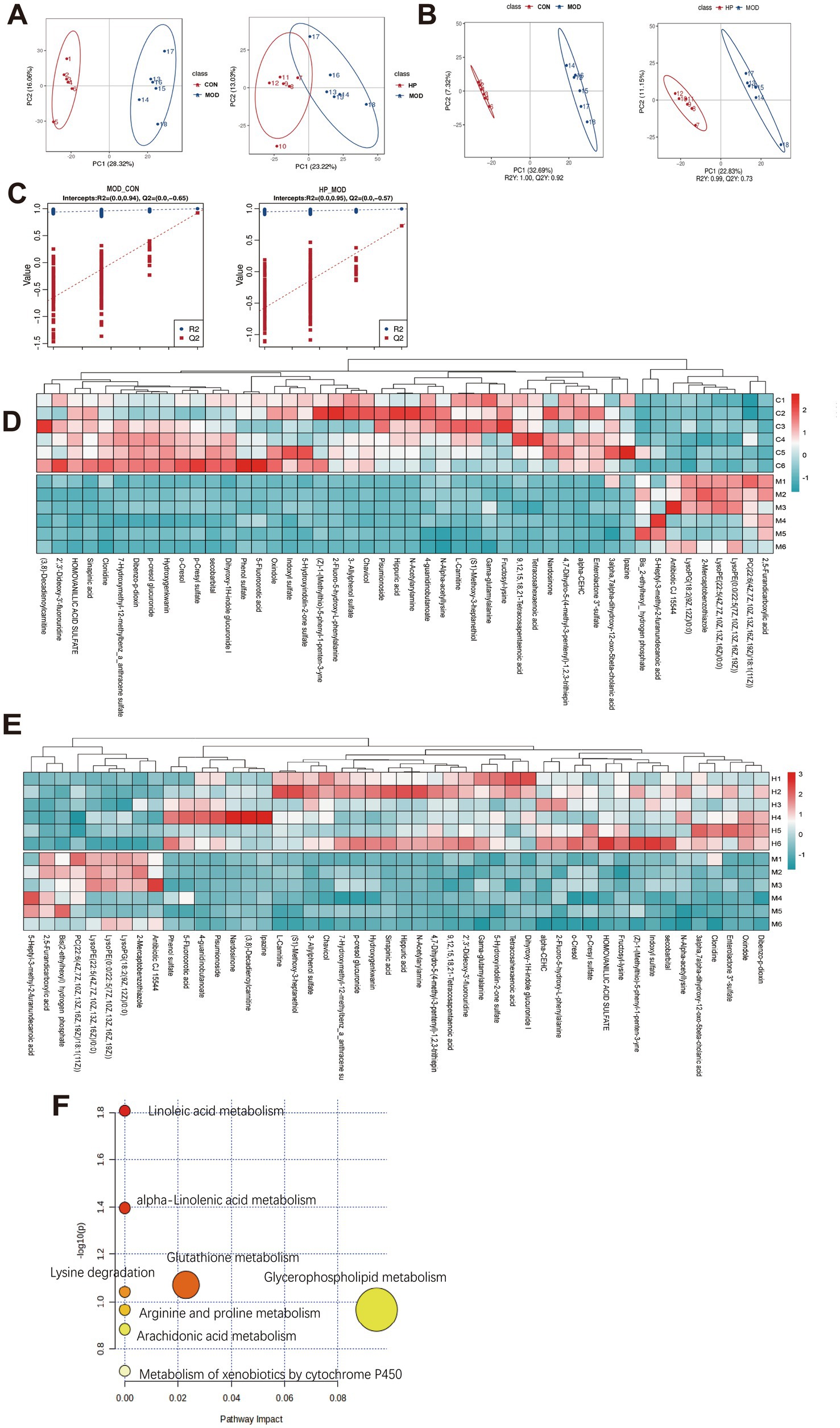 Figure contains multiple panels illustrating statistical and metabolic pathway analyses. Panel A shows PCA score plots differentiating classes CON, HP, and MOD by colored ellipses. Panel B features additional PCA plots comparing classes with overlapping distributions. Panel C includes scatter plots with regression lines displaying R2 and Q2 values. Panels D and E show hierarchical clustering heatmaps of metabolites, with varying intensities of red and blue indicating metabolic differences among samples. Panel F is a scatter plot of pathway impacts, highlighting significant pathways like linoleic acid metabolism with circle size and color indicating impact magnitude.