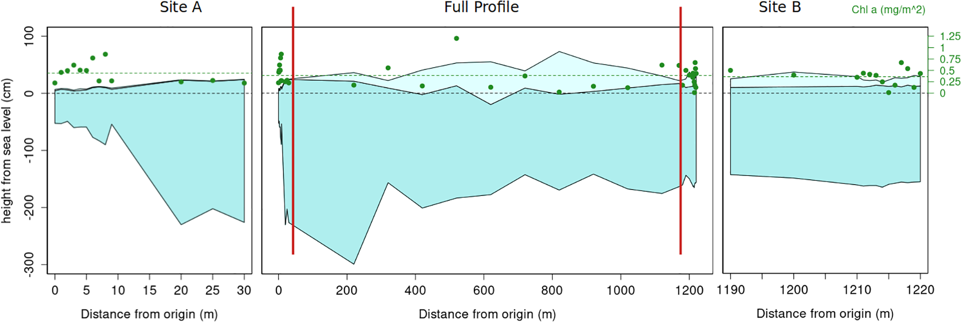 Graph showing cross-sections at Sites A, B, and the full profile, illustrating height from sea level in centimeters versus distance from origin in meters. the dark shading represents ice, whereas the lighter shading represents snow. Green dots indicate chlorophyll a levels, measured in milligrams per square meter.
