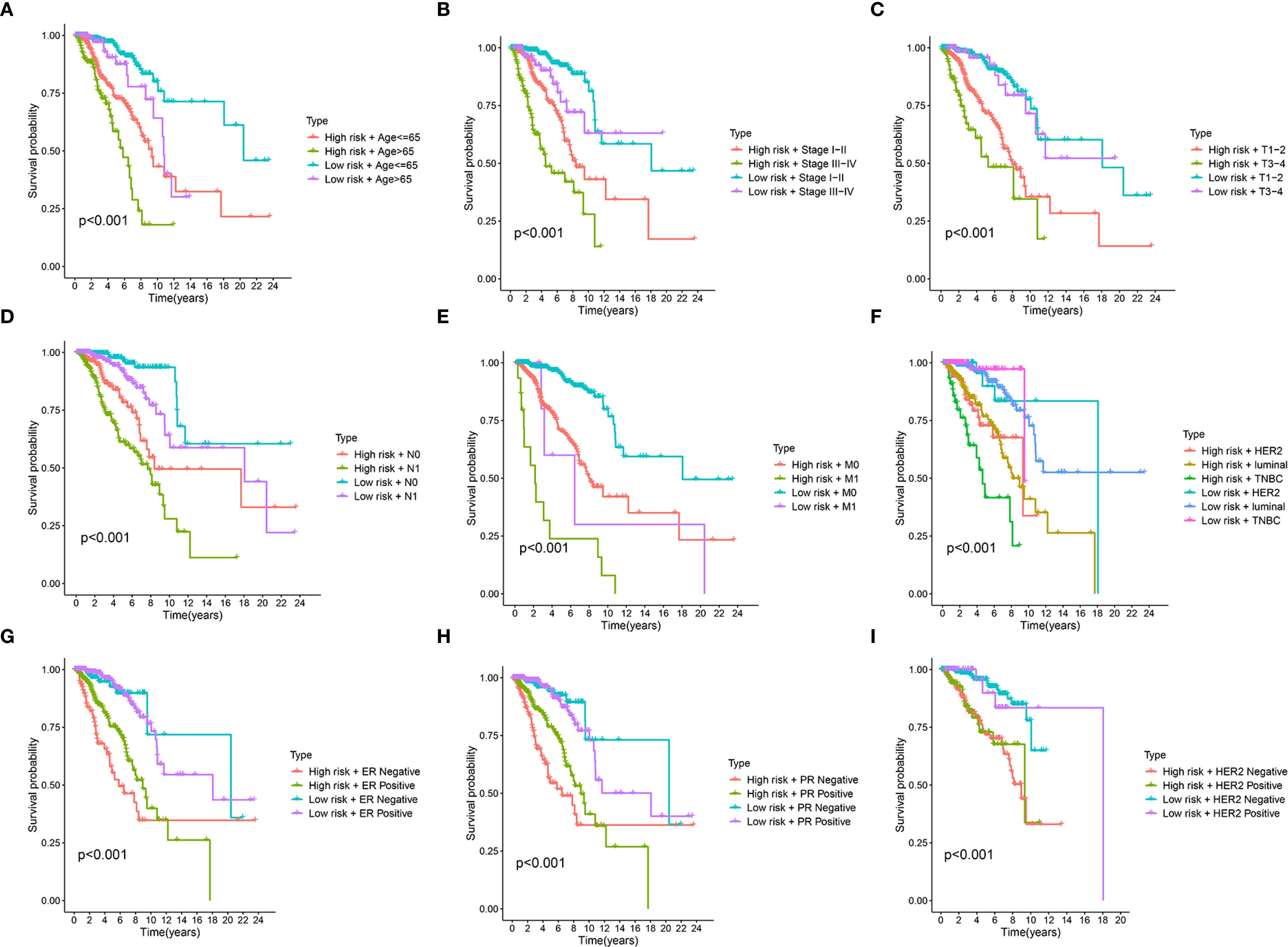 Nine Kaplan-Meier survival curves labeled A to I, each displaying survival probabilities over 24 years based on various risk factors and conditions. Each chart shows different categorizations: age, stage, tumor size, nodal involvement, metastasis, HER2, ER status, PR status, and other cancer subtypes. All charts indicate significant differences with p-values less than 0.001.