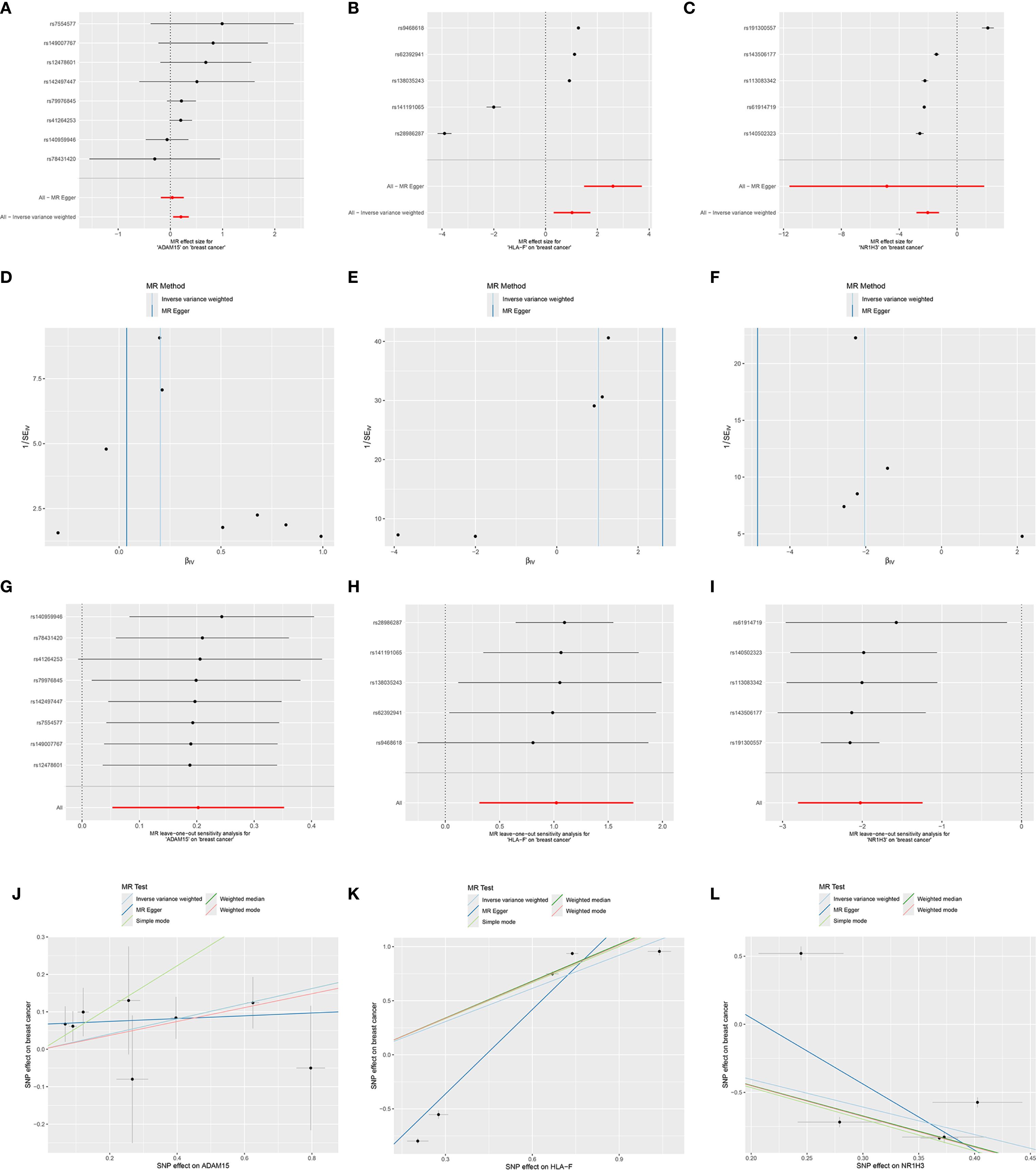 Twelve-panel image displaying various scatter plots and forest plots related to statistical analyses. Panels A, B, C, G, H, and I show forest plots with black dots and confidence intervals. Panels D, E, and F depict scatter plots with points and blue lines indicating specific values. Panels J, K, and L present scatter plots with trend lines colored in blue, green, red, and yellow, representing different MR (Mendelian Randomization) methods. Each plot is labeled with axis titles and legends indicating the specific statistical methods used.