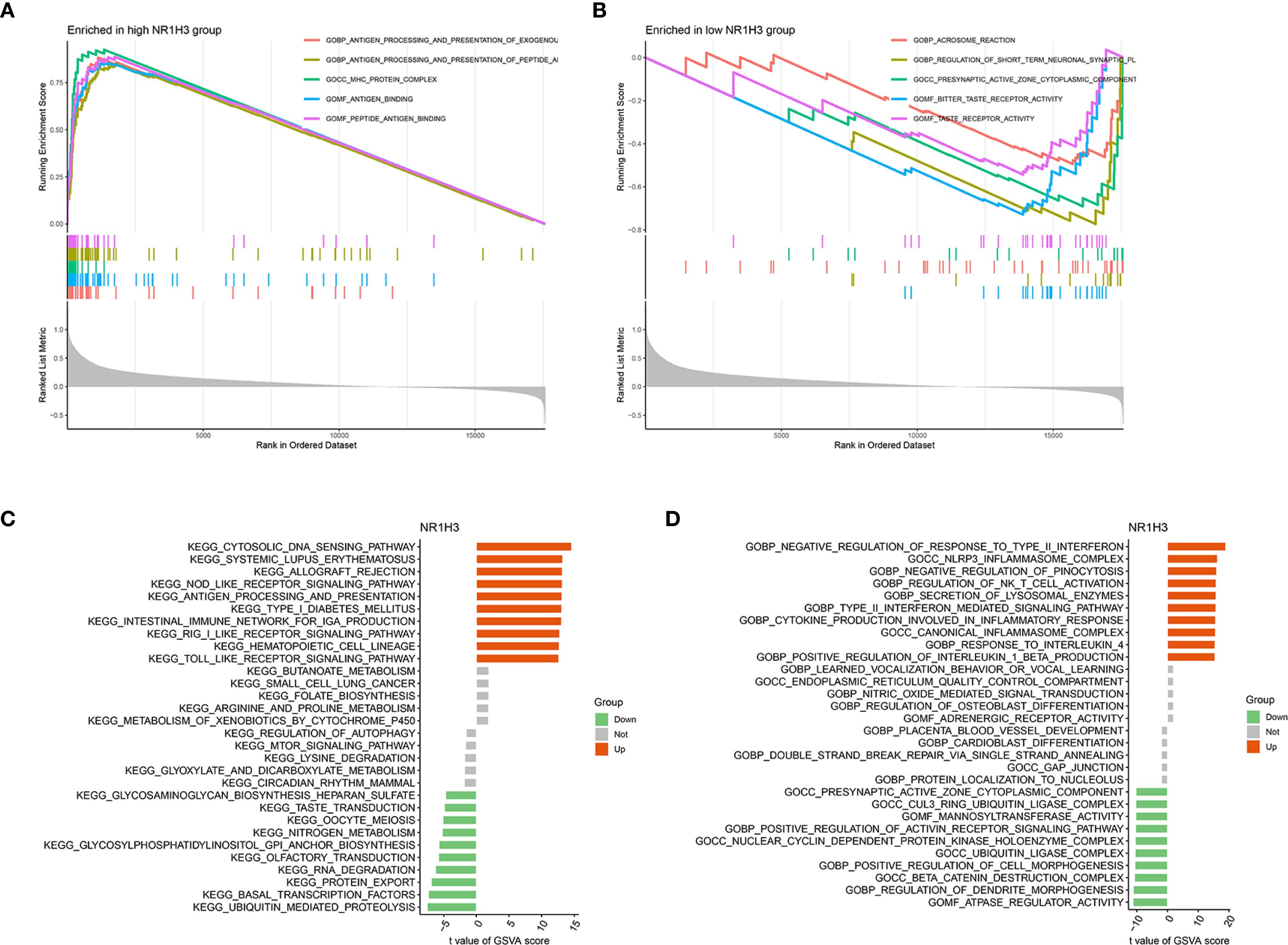 Graphs and charts displaying data analysis related to the NR1H3 group. Panel A shows enrichment in the high NR1H3 group with a line graph. Panel B shows enrichment in the low NR1H3 group with another line graph. Panel C and D present bar charts with pathways and gene ontology annotations, indicating which are upregulated or downregulated. The color coding represents group classifications.