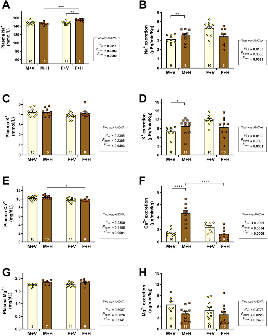 Bar graphs labeled A to H compare plasma and excretion levels of Na⁺, K⁺, Ca²⁺, and Mg²⁺ in different groups: M+V, M+H, F+V, F+H. Significant differences are indicated by asterisks, with results annotated for two-way ANOVA tests. Each graph presents mean values with standard error bars and sample sizes indicated within bars.