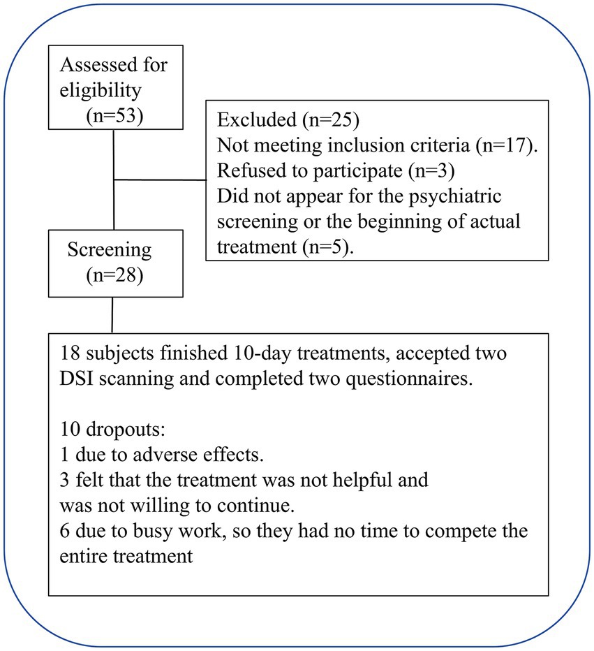 Flowchart showing the selection process for a study. Fifty-three individuals were assessed, and twenty-five were excluded for reasons like not meeting criteria (seventeen), refusal (three), and non-appearance (five). Twenty-eight were screened, with eighteen completing a ten-day treatment, DSI scans, and questionnaires. Ten dropped out: one due to adverse effects, three due to ineffective treatment, and six due to busy schedules.