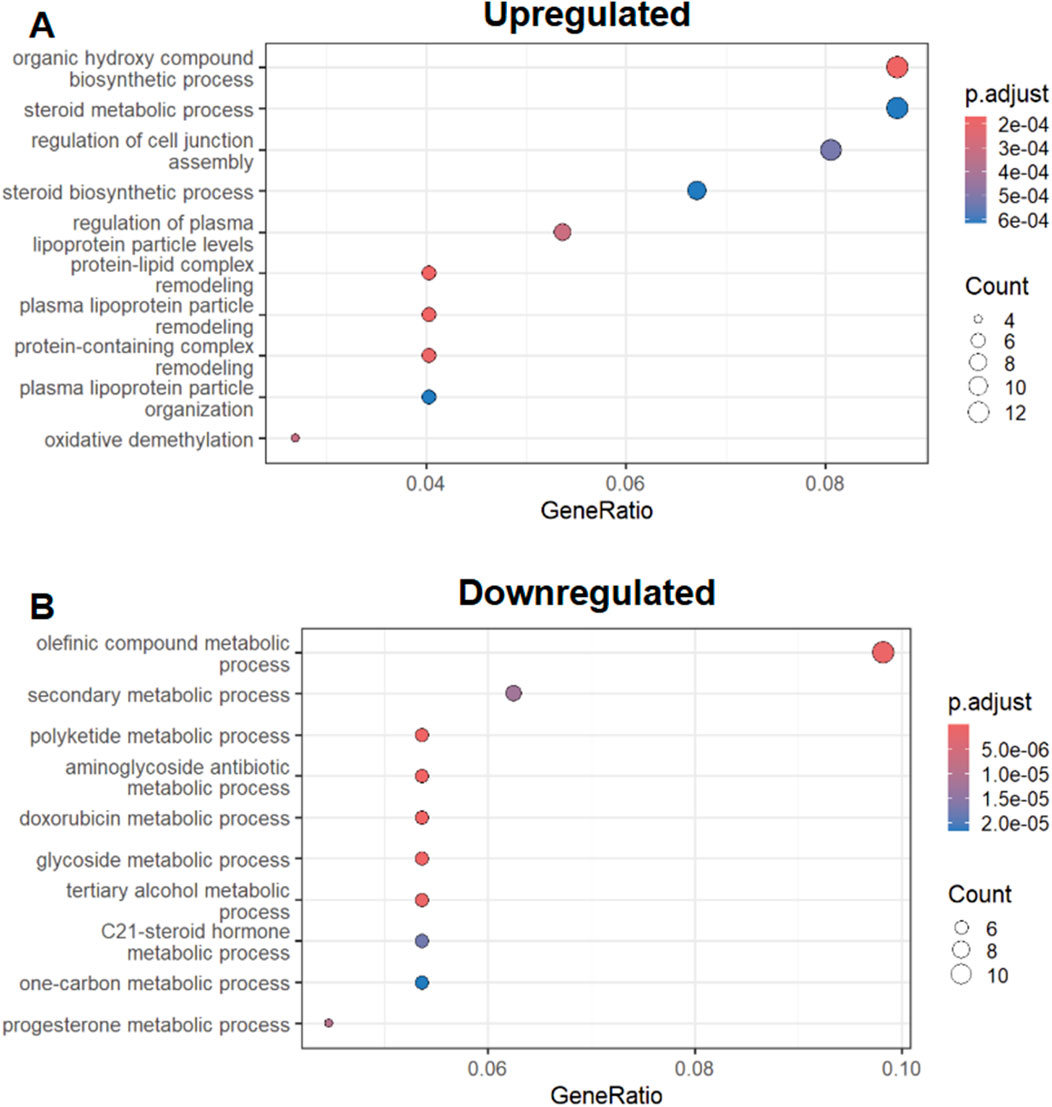 Scatter plots show upregulated and downregulated processes. Plot A depicts upregulated processes like organic hydroxy compound biosynthetic process with varying colors indicating p-value adjustments and dot sizes representing count. Plot B shows downregulated processes, such as olefinic compound metabolic process, with similar visual encodings for p-values and counts.