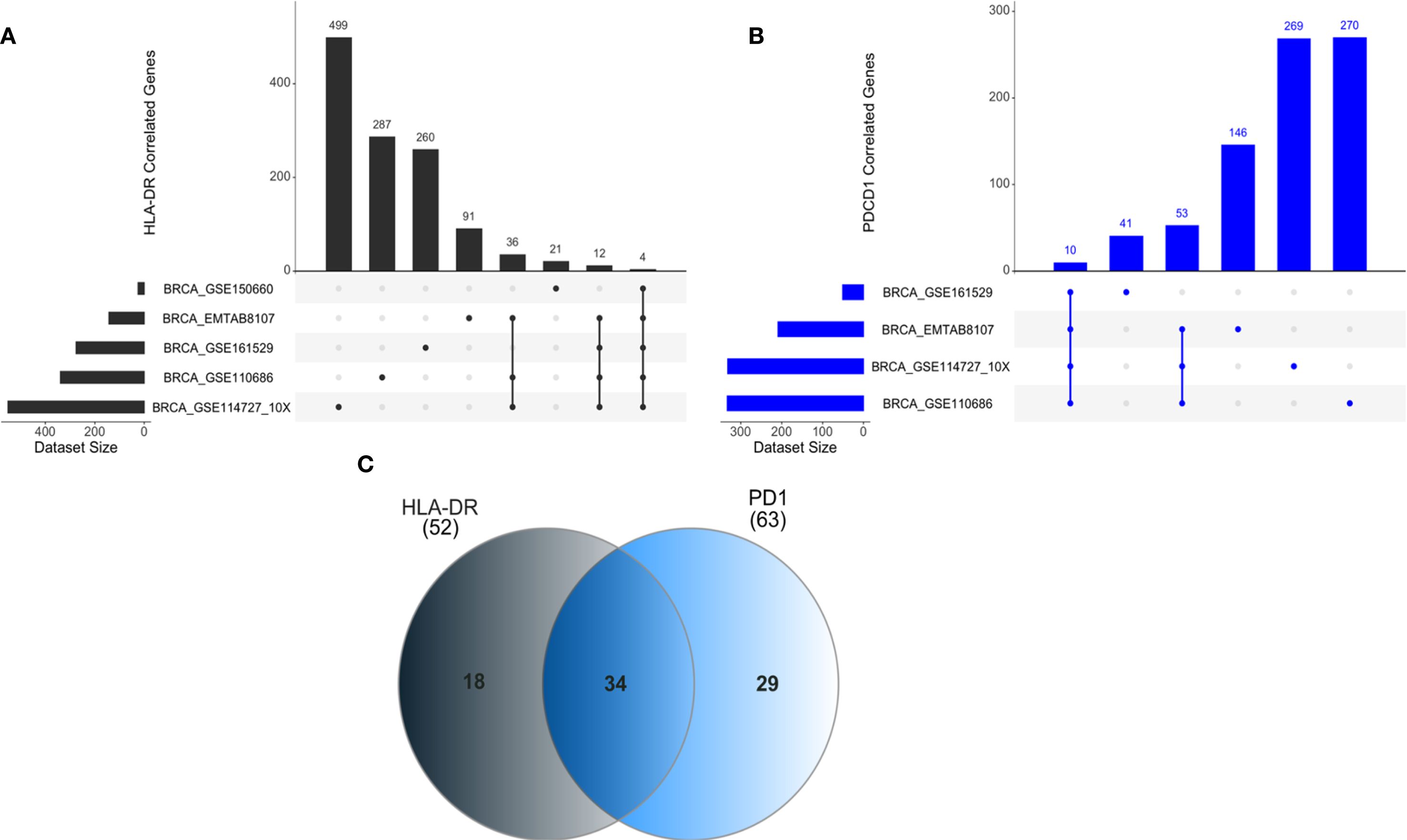 Panel A presents a bar chart displaying the number of HLA-DR correlated genes across different datasets, with values ranging from four to 499. Panel B shows a bar chart for PDCD1 correlated genes with values from ten to 270. Each chart includes dots connecting overlapping datasets. Panel C features a Venn diagram overlapping HLA-DR and PD1 genes, with 18 unique to HLA-DR, 29 unique to PD1, and 34 common to both.