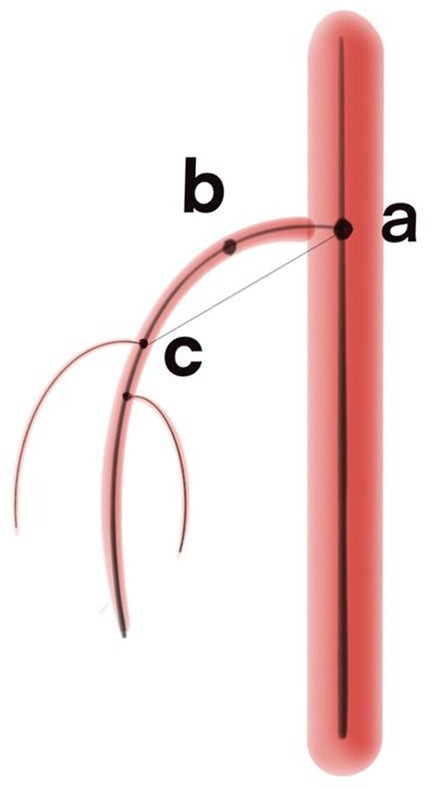 Diagram showing a red elongated shape labeled \