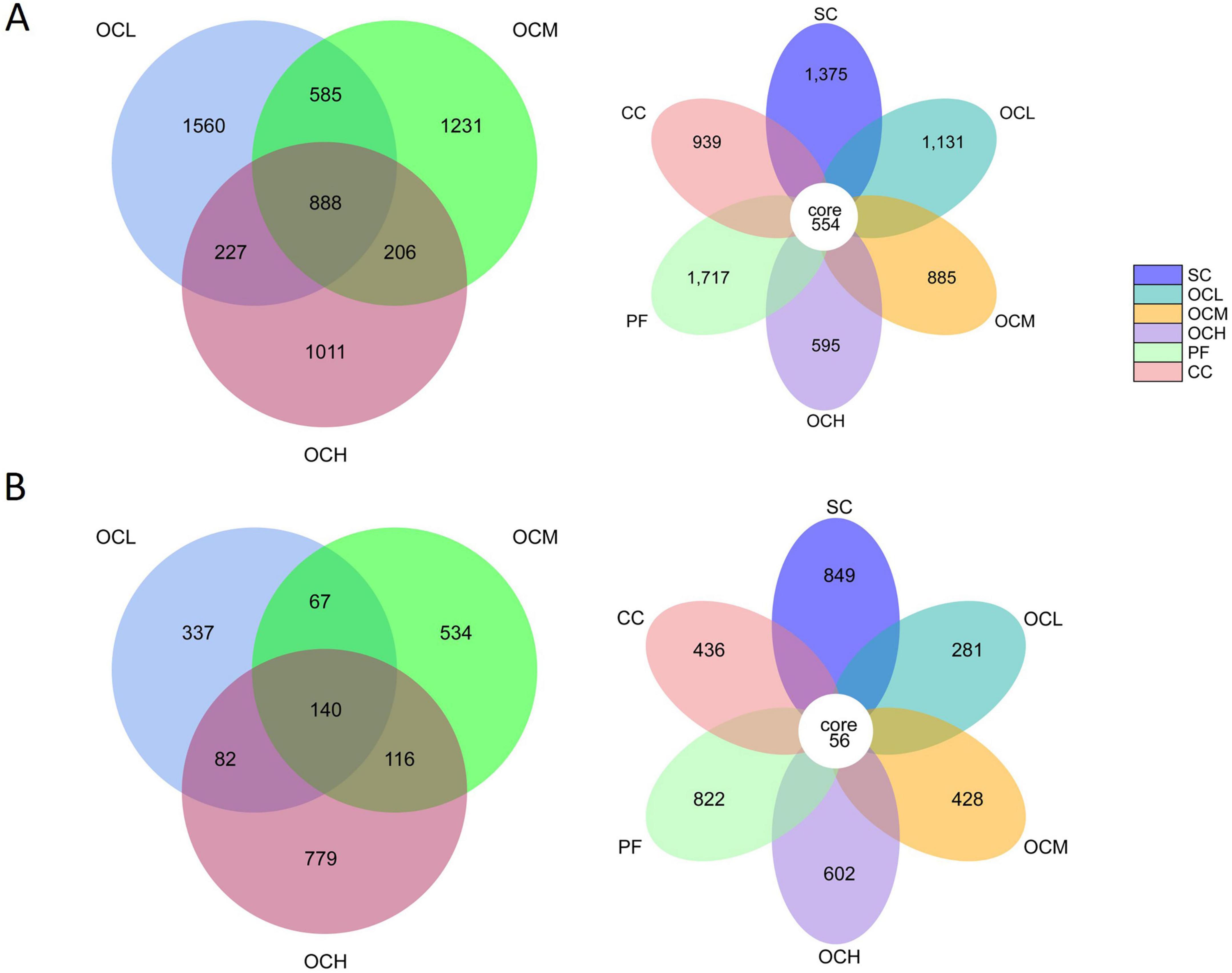 Two diagrams labeled A and B illustrate overlapping circles. A contains two Venn diagrams: one with overlapping circles labeled OCL, OCM, and OCH, showing intersections with numbers; another flower-shaped diagram includes SC, OCL, OCM, OCH, PF, and CC, with a core labeled 554. B mirrors A’s layout, with different intersection numbers and a core labeled 56. A color key identifies circle labels.