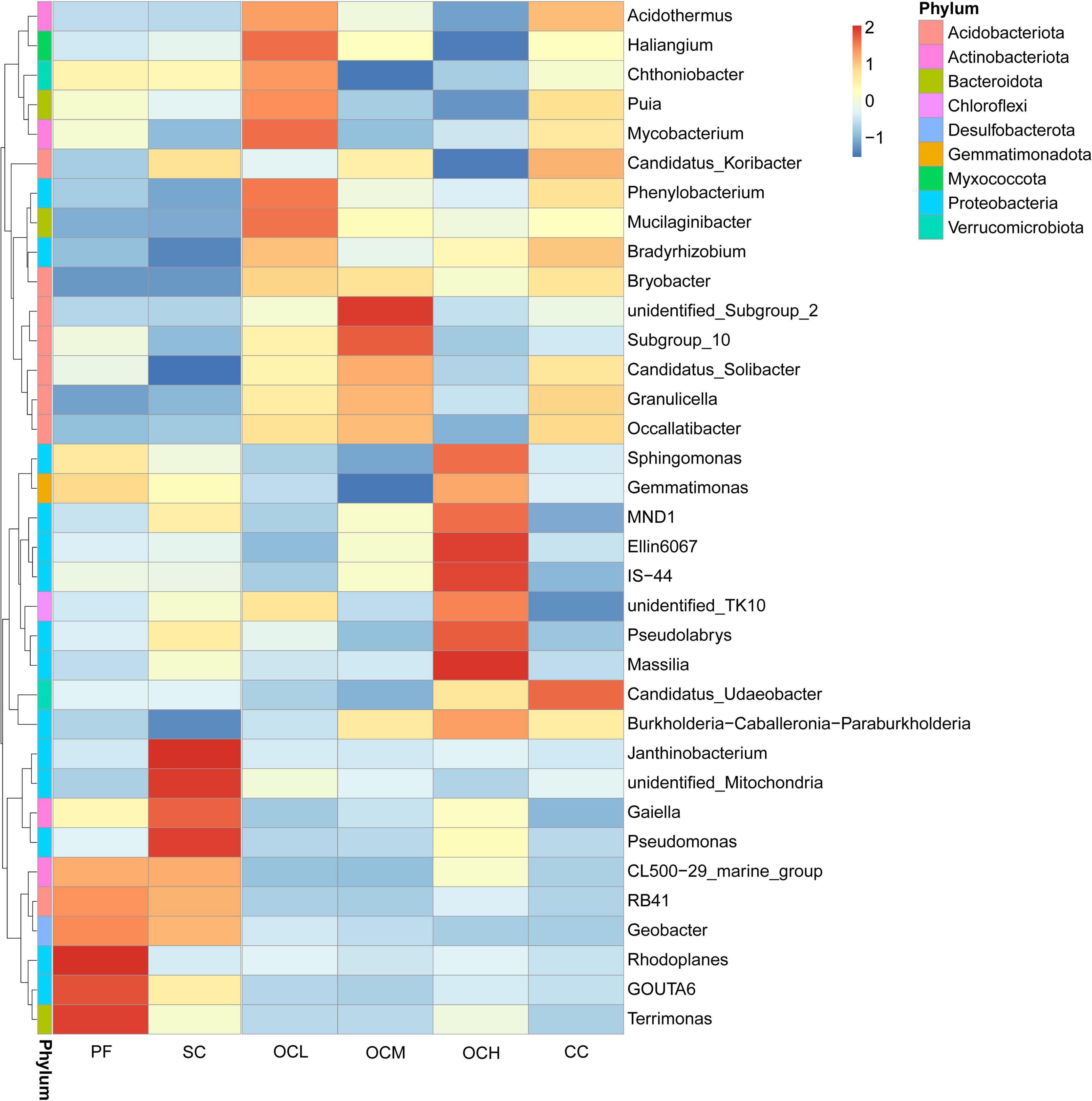 Heatmap showing bacterial taxa abundance across different categories labeled PF, SC, OCL, OCM, OCH, and CC. Colors represent abundance from low (blue) to high (red). A side legend identifies phyla with colors: Acidobacteriota, Actinobacteriota, Bacteroidota, Chloroflexi, Desulfobacterota, Gemmatimonadota, Myxococcota, Proteobacteria, and Verrucomicrobiota. Taxa are listed on the right.