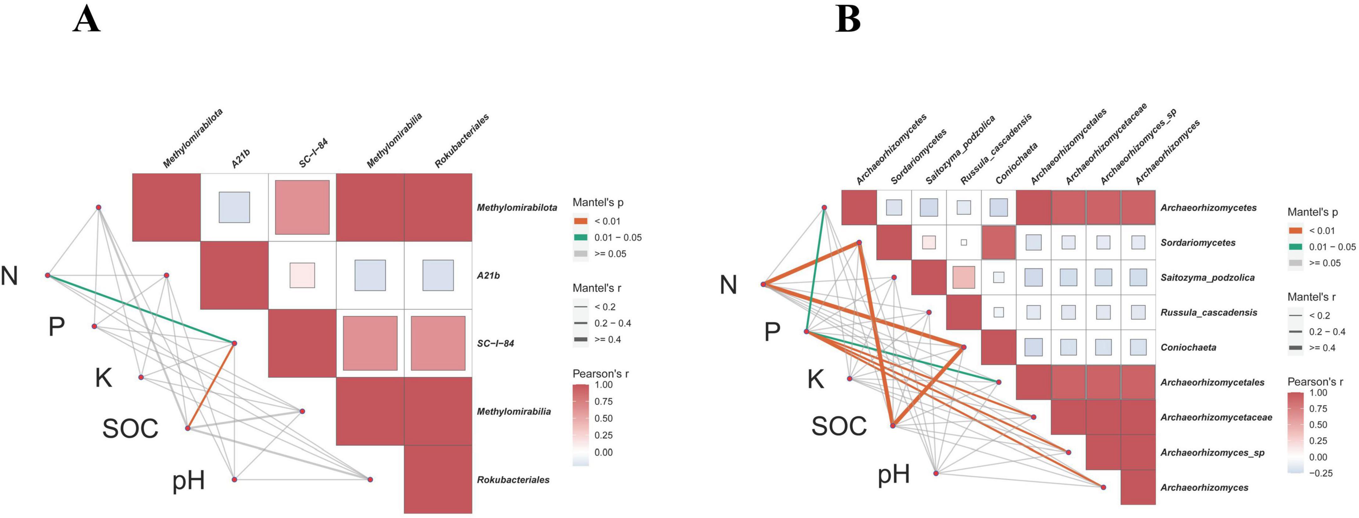 Side-by-side correlograms labeled A and B. Both display relationships among variables like N, P, K, SOC, and pH, with colored tiles indicating correlation and Mantel’s p-value levels. Diagram A focuses on classes like Methylomirabilota and Rokubacteria, while diagram B includes groups such as Archaeorhizomycetes and Sordariomycetes. Lines connect variables, indicating interactions.