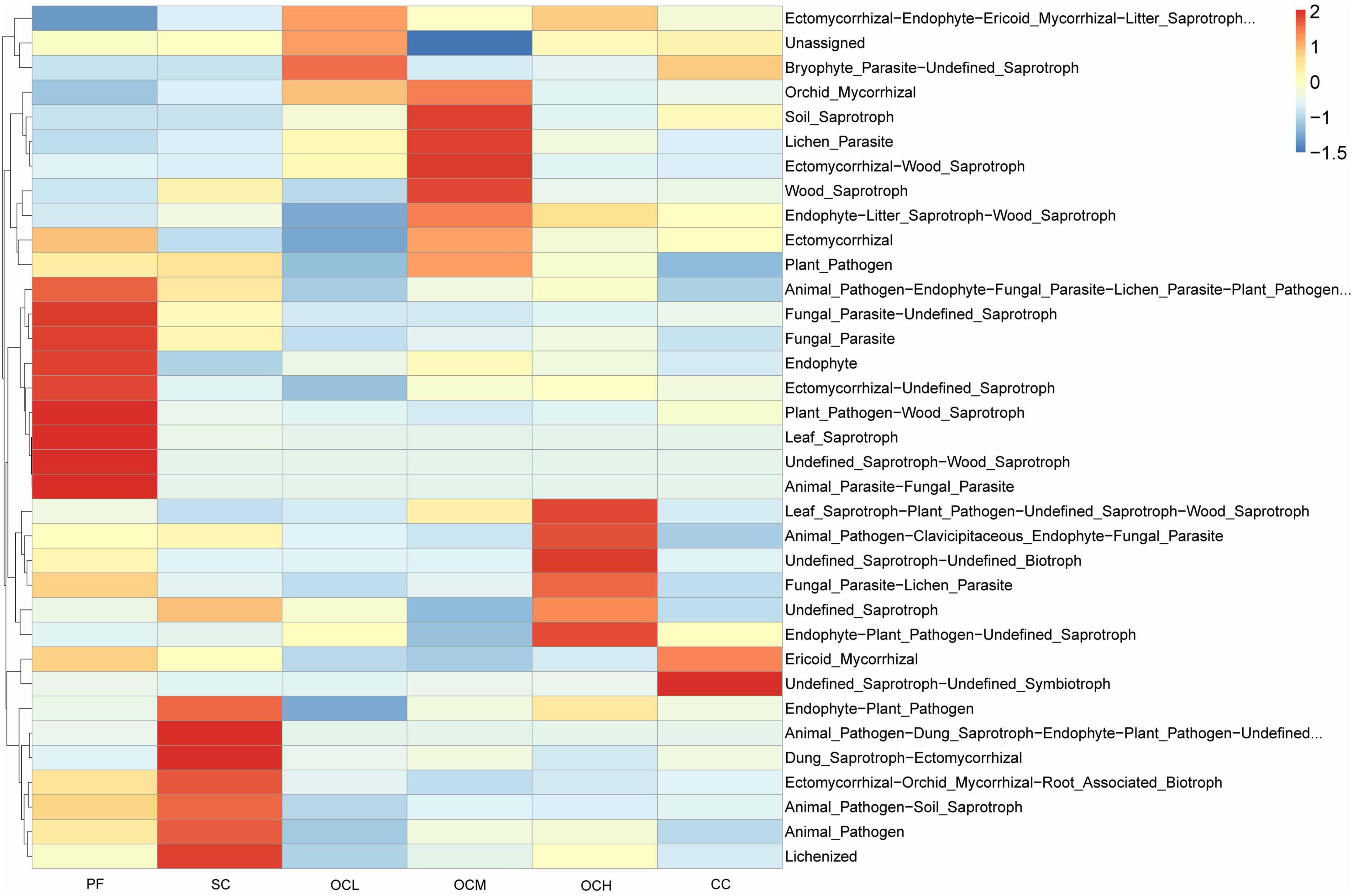 Heatmap illustrating fungal diversity across different sample types, labeled PF, SC, OCL, OCM, OCH, and CC. Color gradient from blue to red indicates data values ranging from -1.5 to 2. Various fungal categories are listed on the right, showing their relative abundance or presence in each sample type.