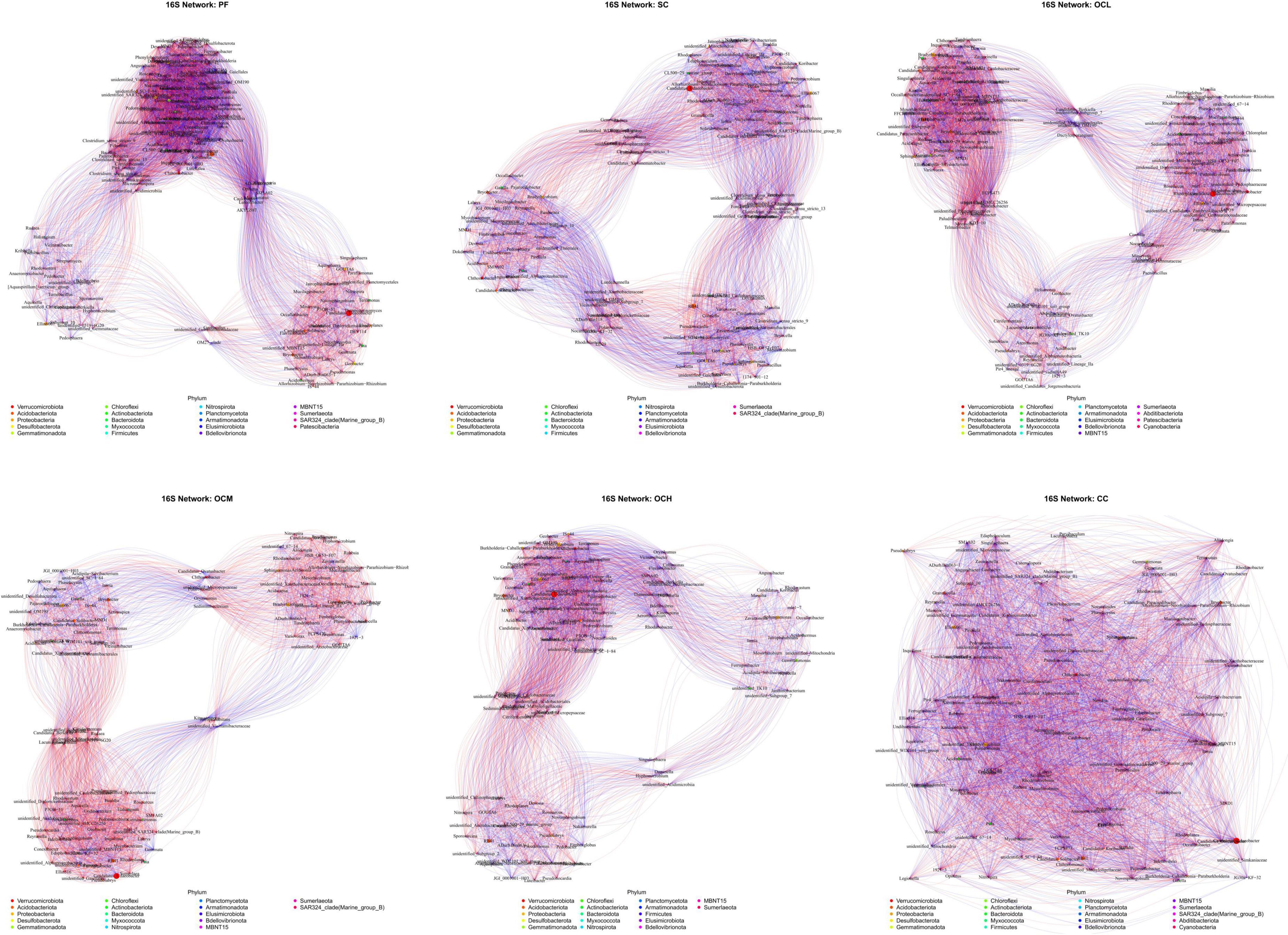 Six network graphs display different 16S networks labeled as PF, SC, OCL, OCM, OCH, and CC. Each graph shows nodes and connecting lines in purple, blue, or red shades, representing relationships among microbial communities. Nodes are labeled by various phyla, with a legend indicating color-coded classifications such as Firmicutes and Proteobacteria. The visual complexity varies, with densely connected networks showing intricate patterns of connectivity.