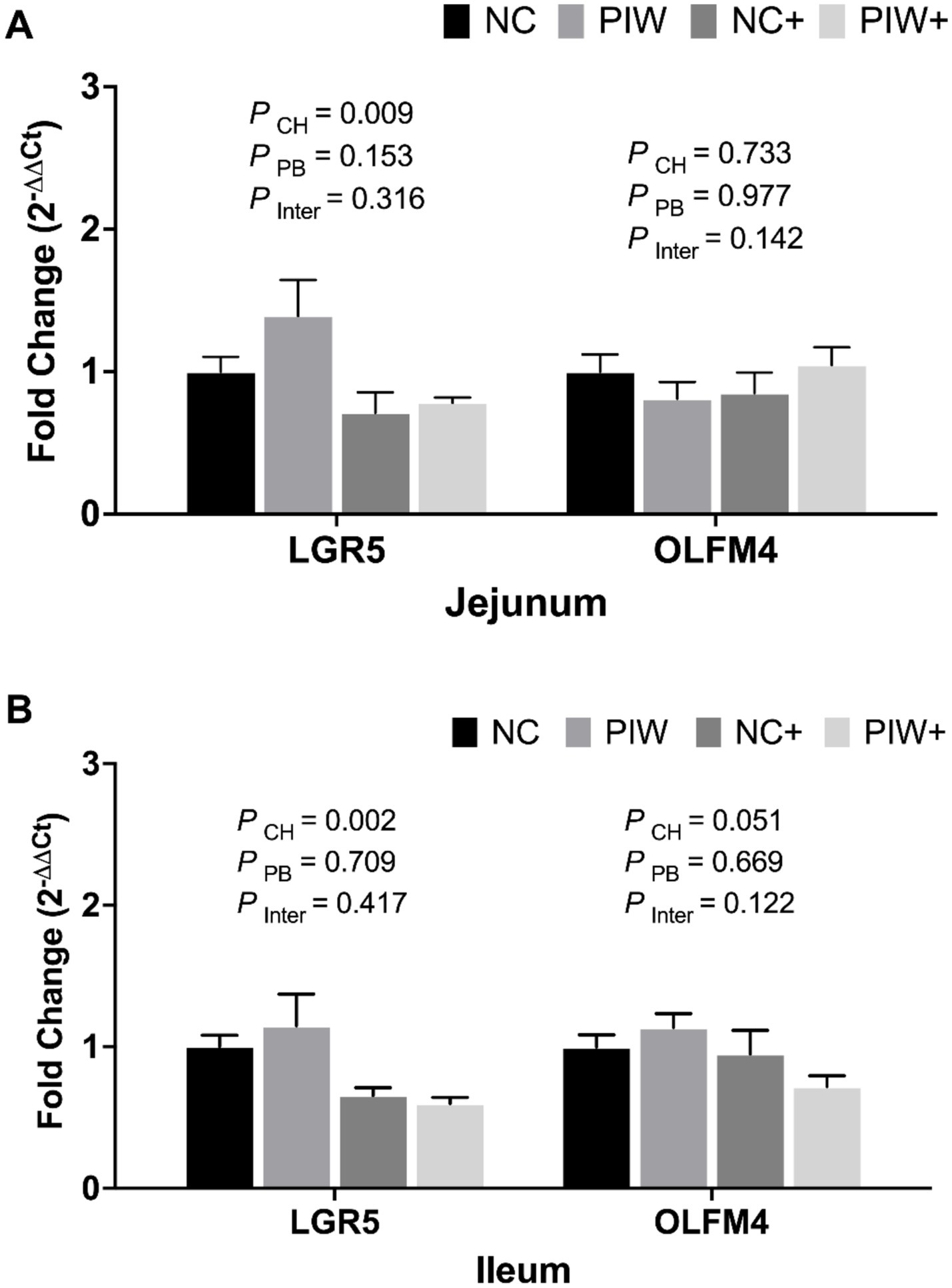 Bar graphs showing fold change expression of LGR5 and OLFM4 genes in the jejunum (A) and ileum (B). Four groups: NC, PIW, NC+, and PIW+, indicated by different shades. Statistical values (P_CH, P_PB, P_Inter) are provided for each tissue and gene.
