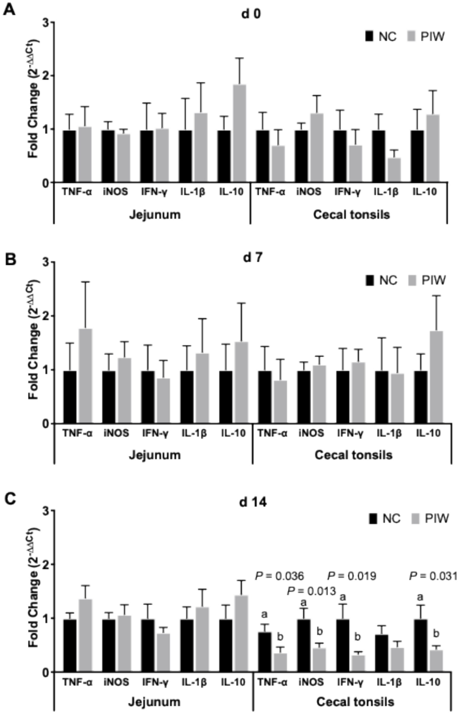Bar graphs depict fold changes in expression of inflammatory markers in the jejunum and cecal tonsils at days 0, 7, and 14. Bars are divided into NC (black) and PIW (gray). Each panel (A, B, C) shows data for TNF-α, iNOS, IFN-γ, IL-1β, and IL-10. Notable differences are marked on day 14, with statistical significance in the cecal tonsils for IL-10, IFN-γ, and IL-1β.