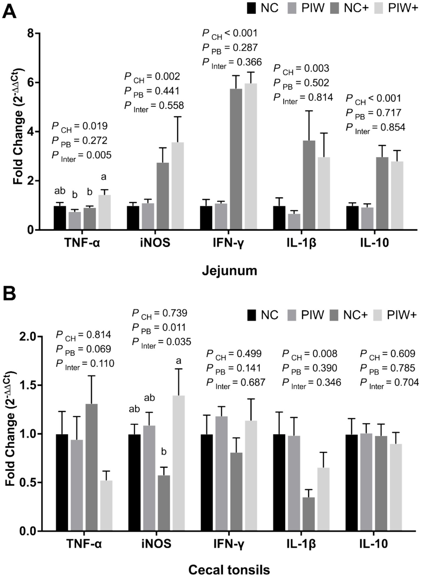Bar graphs showing fold change in gene expression levels for TNF-α, iNOS, IFN-γ, IL-1β, and IL-10 in the jejunum and cecal tonsils. Four conditions are compared: NC, PIW, NC+, and PIW+. Statistical significance is indicated with P values next to each bar, and different letters denote significant differences.