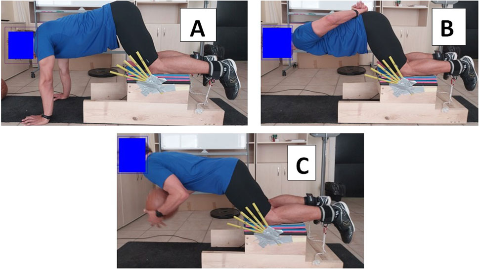 Three-panel image of a subject performing an exercise with resistance bands on a wooden platform. Panel A shows the subject in a push-up position on knees. Panel B shows them leaning back with arms crossed over the chest. Panel C depicts them reaching forward, holding a ball, while maintaining lower leg position. Each panel is labeled A, B, and C, respectively.