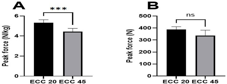 Bar graphs labeled A and B compare peak forces. Graph A shows a significant difference (indicated by three asterisks) between ECC 20 and ECC 45, with bars labeled in Newtons per kilogram. Graph B shows no significant difference (noted as