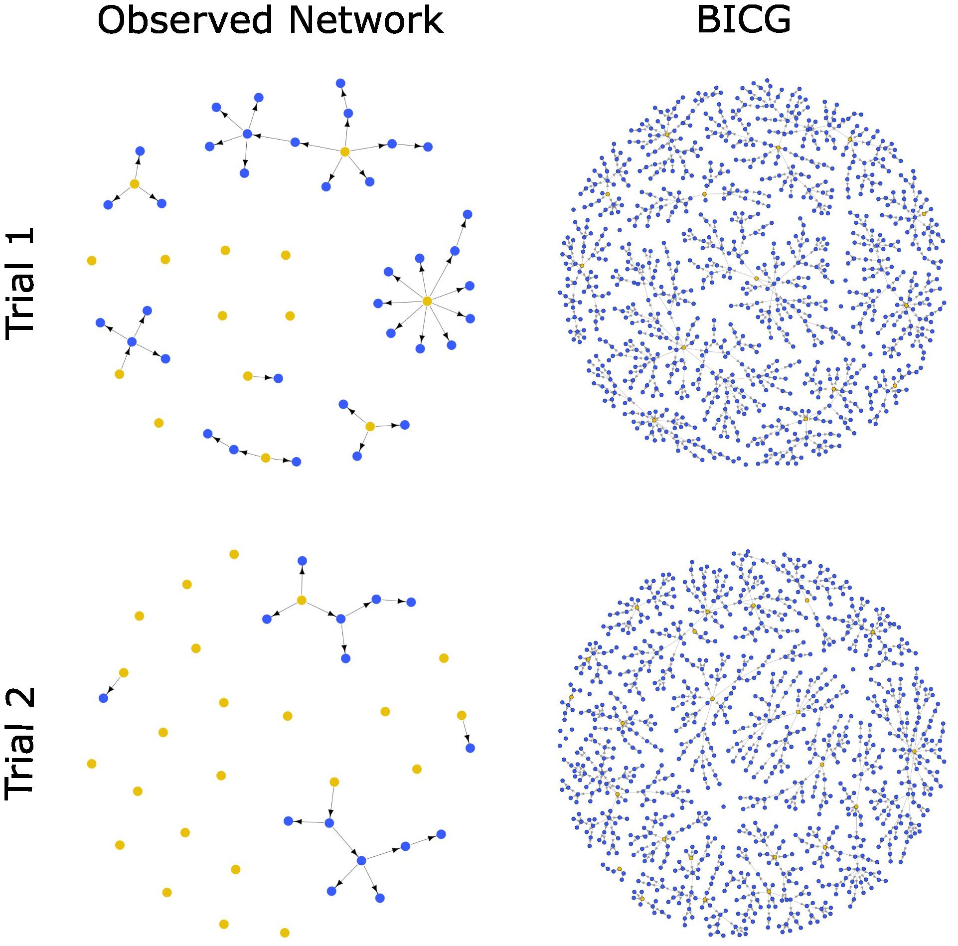 Two network graphs compare “Observed Network” and “BICG” for Trial 1 and Trial 2. Observed Network shows sparsely connected nodes, whereas BICG displays densely connected nodes in a circular pattern.