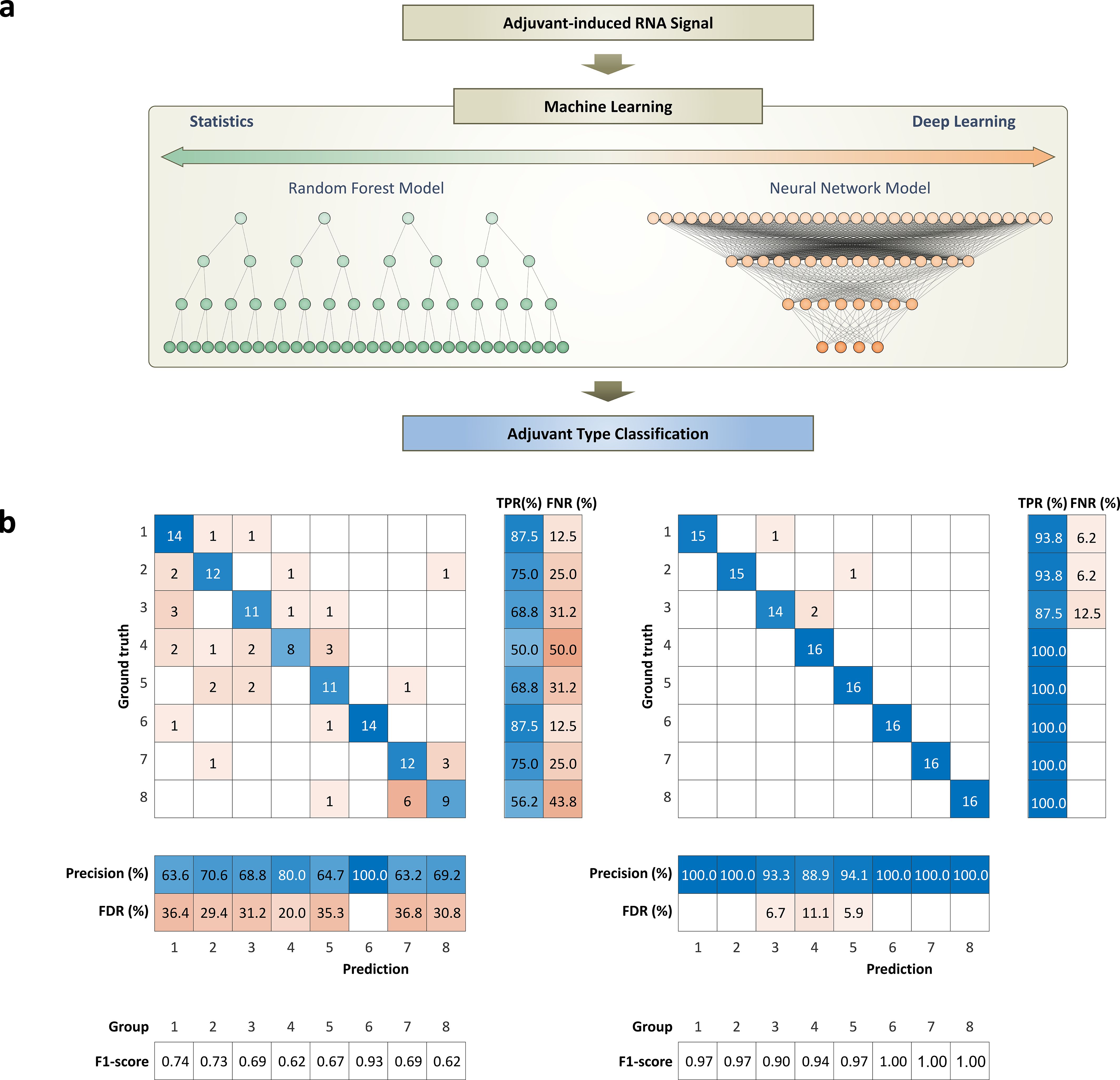 Flowchart and confusion matrices depicting machine learning and deep learning models for adjuvant classification. The flowchart shows a machine learning process using a Random Forest Model and a Neural Network Model for classifying adjuvant types. The confusion matrices below compare the accuracy of these models with metrics such as Precision, F1-score, True Positive Rate (TPR), and False Negative Rate (FNR) for varied ground truth and prediction classes.