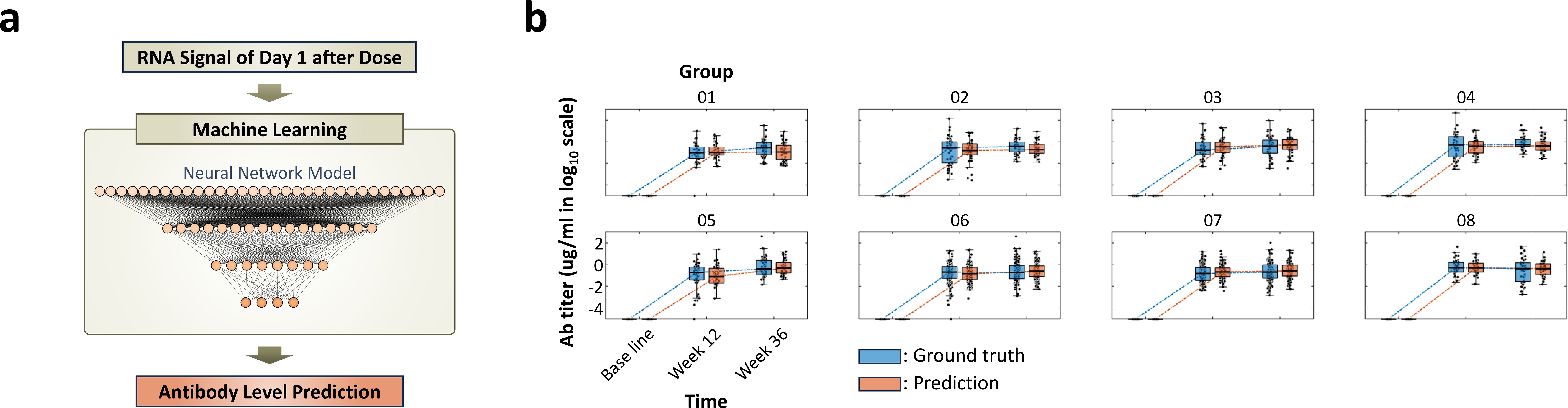 Diagram illustrating a Neural Network Model for predicting antibody levels from RNA signals after dosing. Graphs on the right show predicted (orange) and actual (blue) antibody titers over time for eight groups, measured at baseline, week twelve, and week thirty-six.