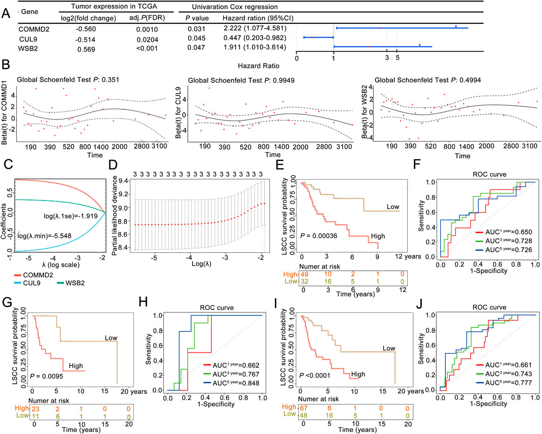 Set of charts and graphs analyzing tumor expression data in TCGA. Panel A shows a table of tumor expression with univariate Cox regression. Panel B includes line graphs about the hazard ratio and Schoenfeld tests for genes COMM2, CUL9, and WSB2. Panel C contains a plot of coefficients versus log lambda values. Panel D is a graph of partial likelihood deviance versus log lambda. Panels E, G, and I display Kaplan-Meier plots for LSCC survival probability for high and low groups. Panels F, H, and J show ROC curves displaying AUC values over one, three, and five years.