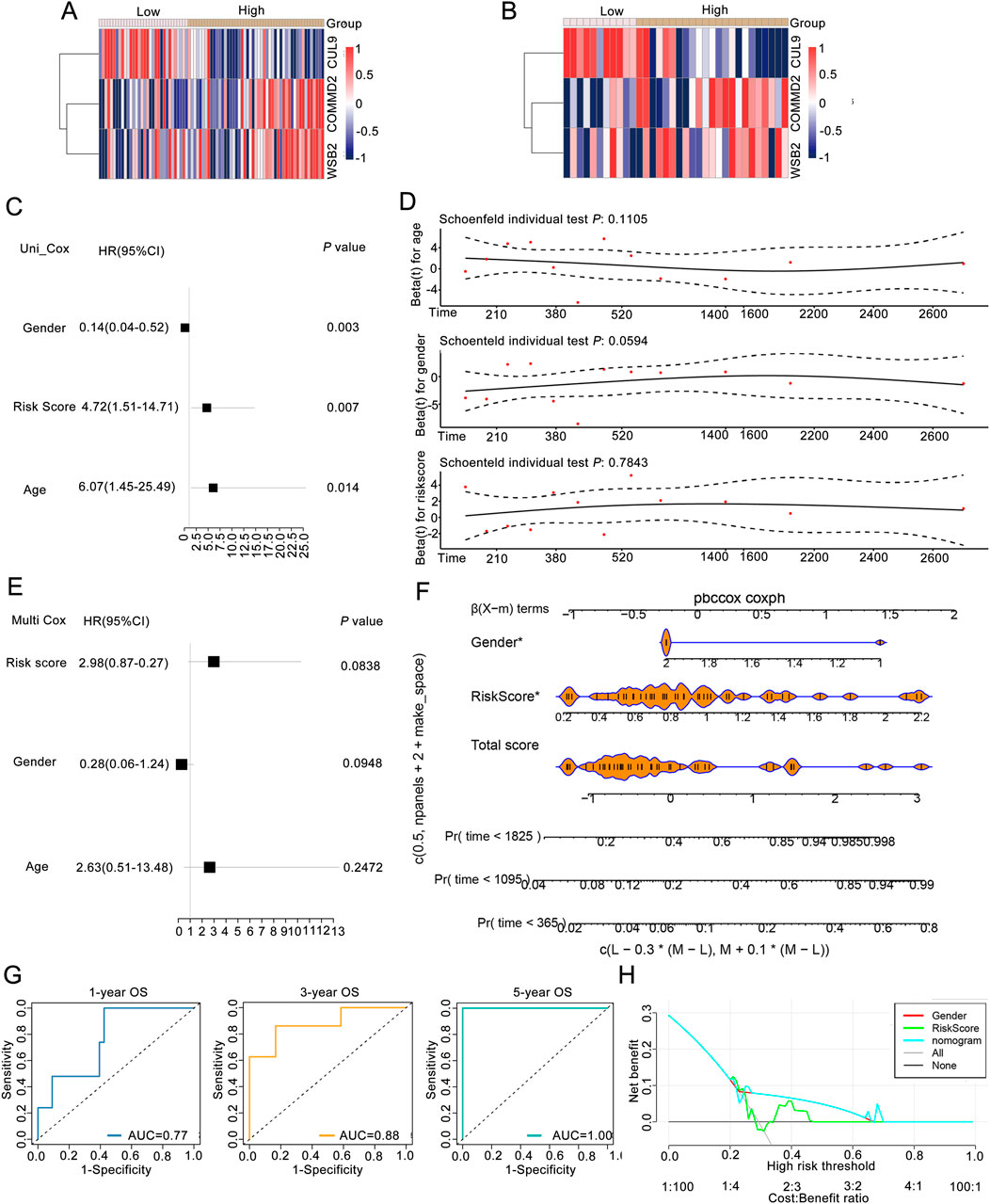 Cluster heatmaps, forest plots, Schoenfeld residuals, violin plots, ROC curves, and net benefit graphs related to risk assessment and survival analysis. Panels A and B show heatmaps with low and high sample groupings. Panels C and E present forest plots with hazard ratios for gender, risk score, and age. Panel D depicts Schoenfeld residual plots for age, gender, and risk score. Panel F contains violin plots for \( \beta(X-m) \) terms of gender, risk score, and total score. Panels G and H illustrate ROC curves for one-year, three-year, and five-year overall survival, and a net benefit graph across various risk thresholds.