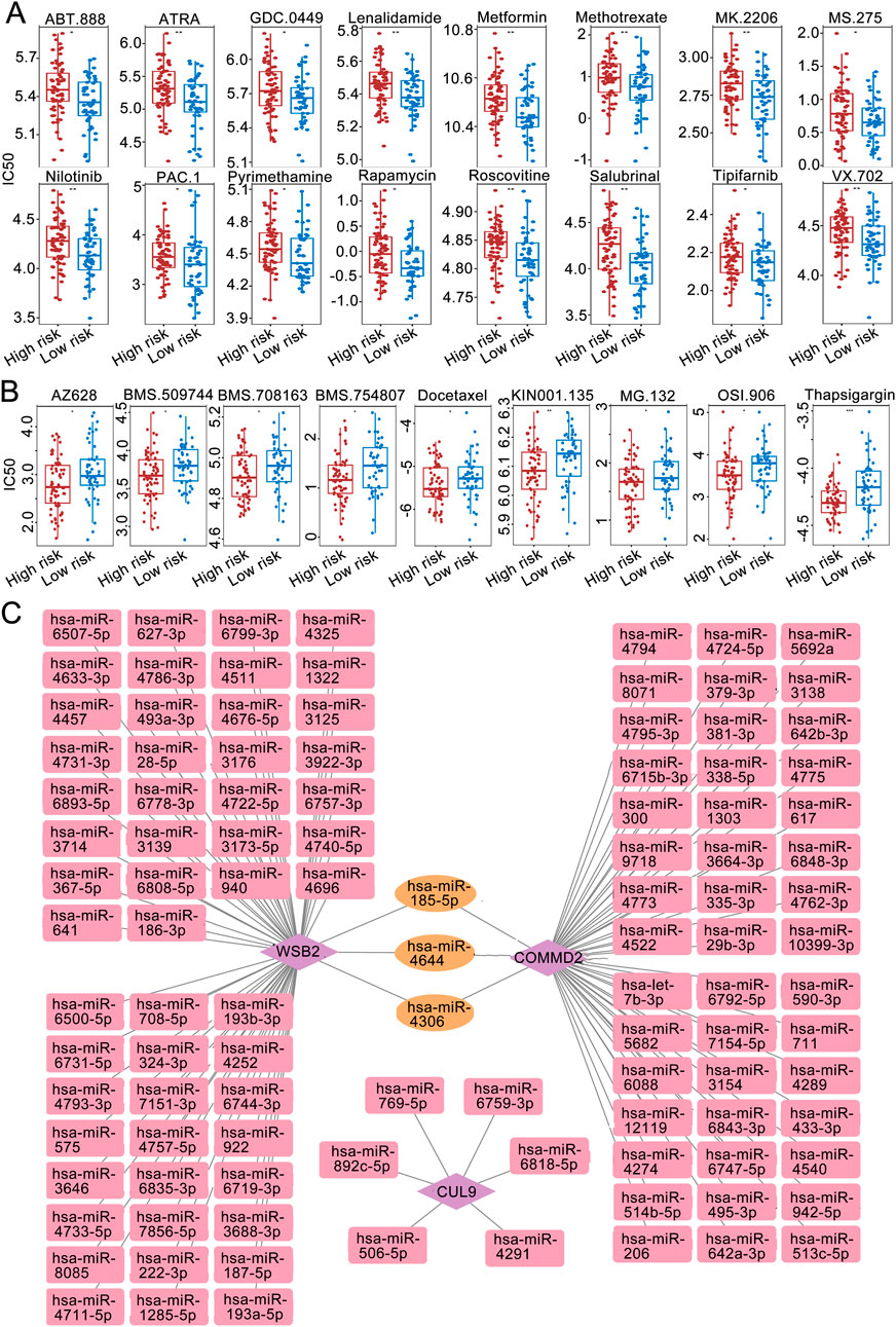Box plots display IC50 values for various drugs comparing high-risk and low-risk groups. Panel A and B show drugs like ABT-888 and AZ628. Panel C illustrates a network of microRNAs (hsa-miRs) interacting with WSB2, COMMD2, and CUL9.