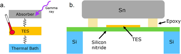 Diagram with two panels labeled a and b. Panel a shows a gamma ray hitting an absorber connected by springs to a thermal bath, with a thermometer beside the TES. Panel b illustrates a layered structure with a top Sn layer supported by epoxy above a silicon nitride layer. A TES is positioned on the layers, under which silicon blocks are placed.