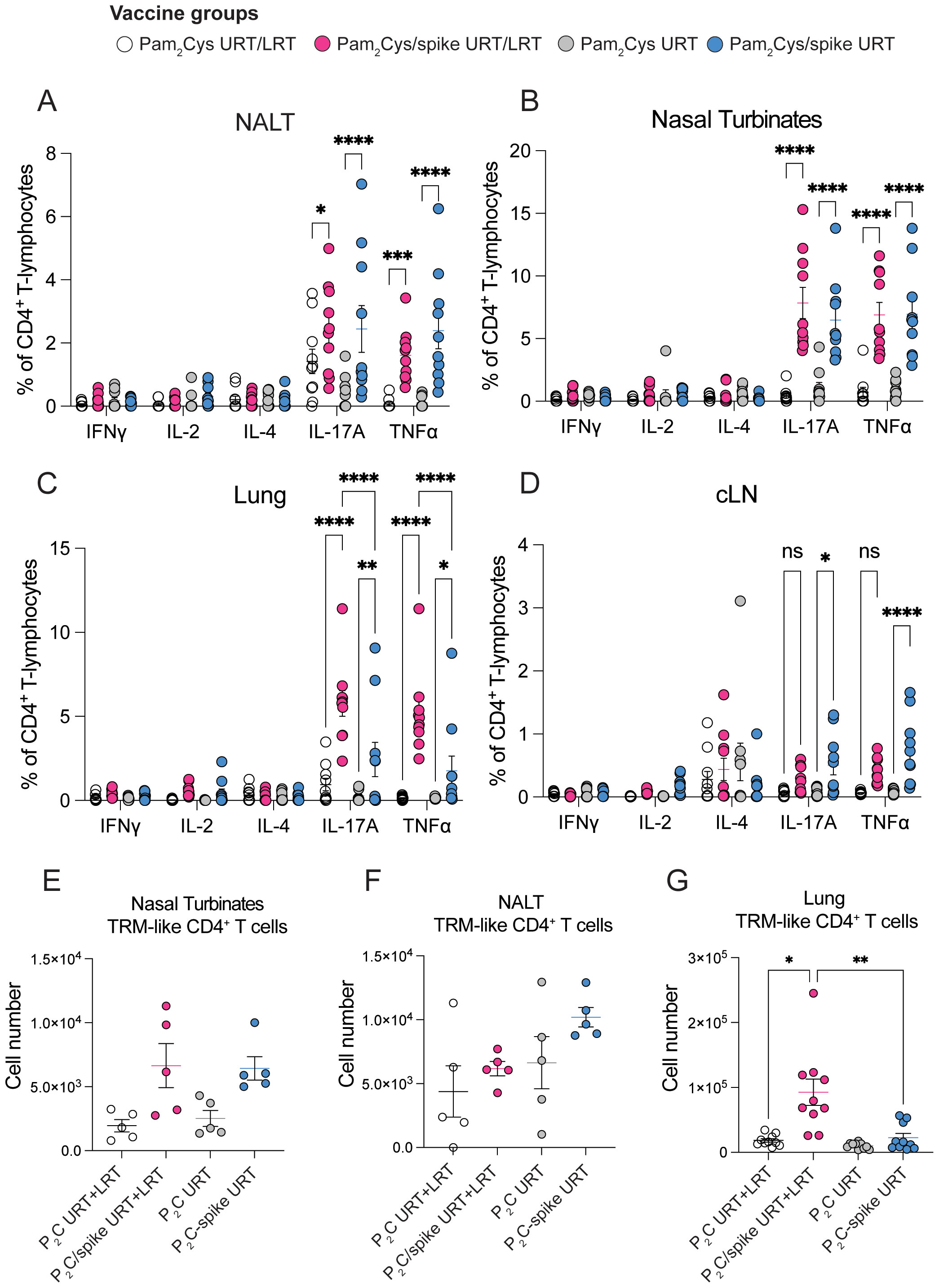 Graphs depicting cellular immune response in different tissues across vaccine groups. Panels A-D show percentages of CD4+ T-lymphocytes expressing various cytokines in NALT, nasal turbinates, lung, and cLN after restimulation with spike protein. Panels E-G present TRM-like CD4+ T cell numbers in nasal turbinates, NALT, and lung. Results indicate significant differences between vaccine groups, with statistical significance denoted by asterisks and “ns” for non-significant comparisons.