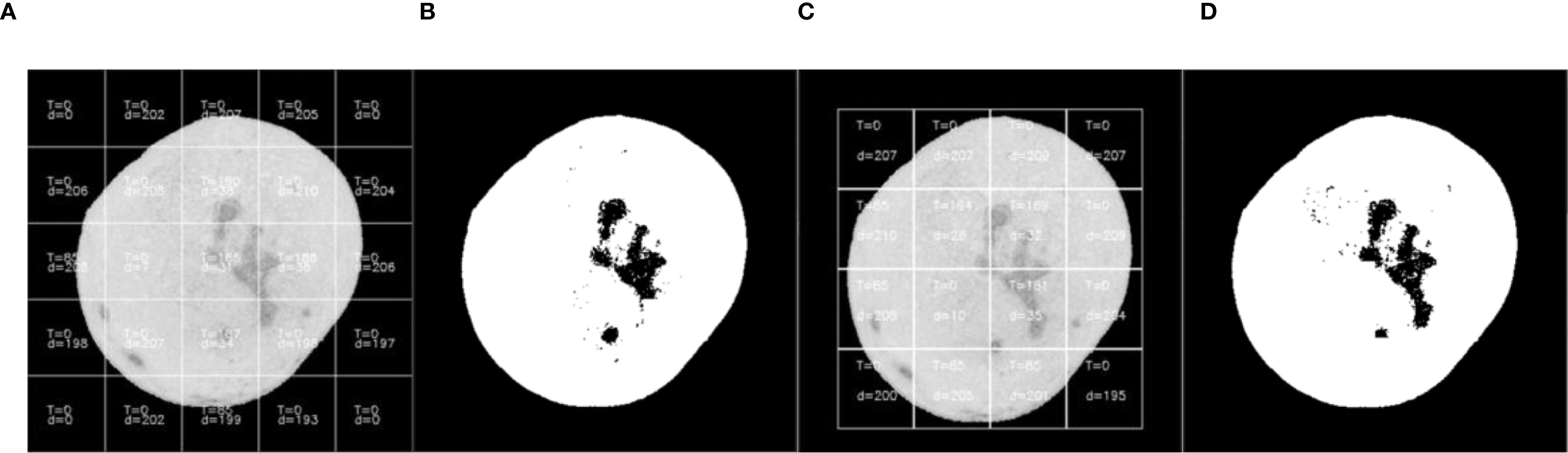 Four-panel image showing CT scan sections. Panel A and C display grayscale scans with grid overlay and numerical annotations. Panel B and D show corresponding binary segmentations with black regions on a white background. Panels illustrate differences in data visualization methods.