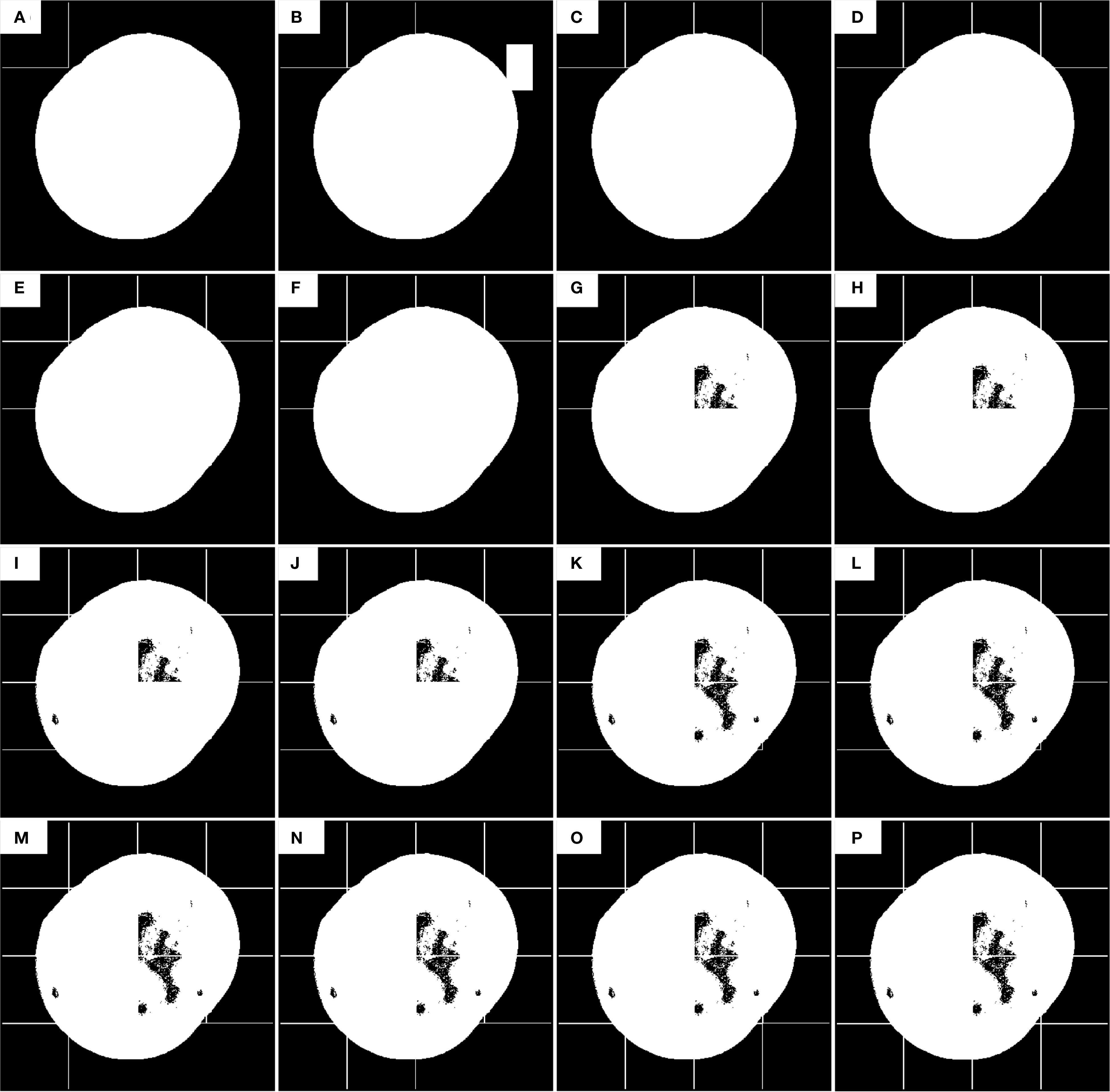 Grid of sixteen black and white images labeled A to P. Each image shows a circular white area on a black background with variations in black patterns in the center. Patterns become more prominent and intricate from A to P. Image B includes a rectangular white shape in the upper right. Each row presents progressive changes in the central pattern.