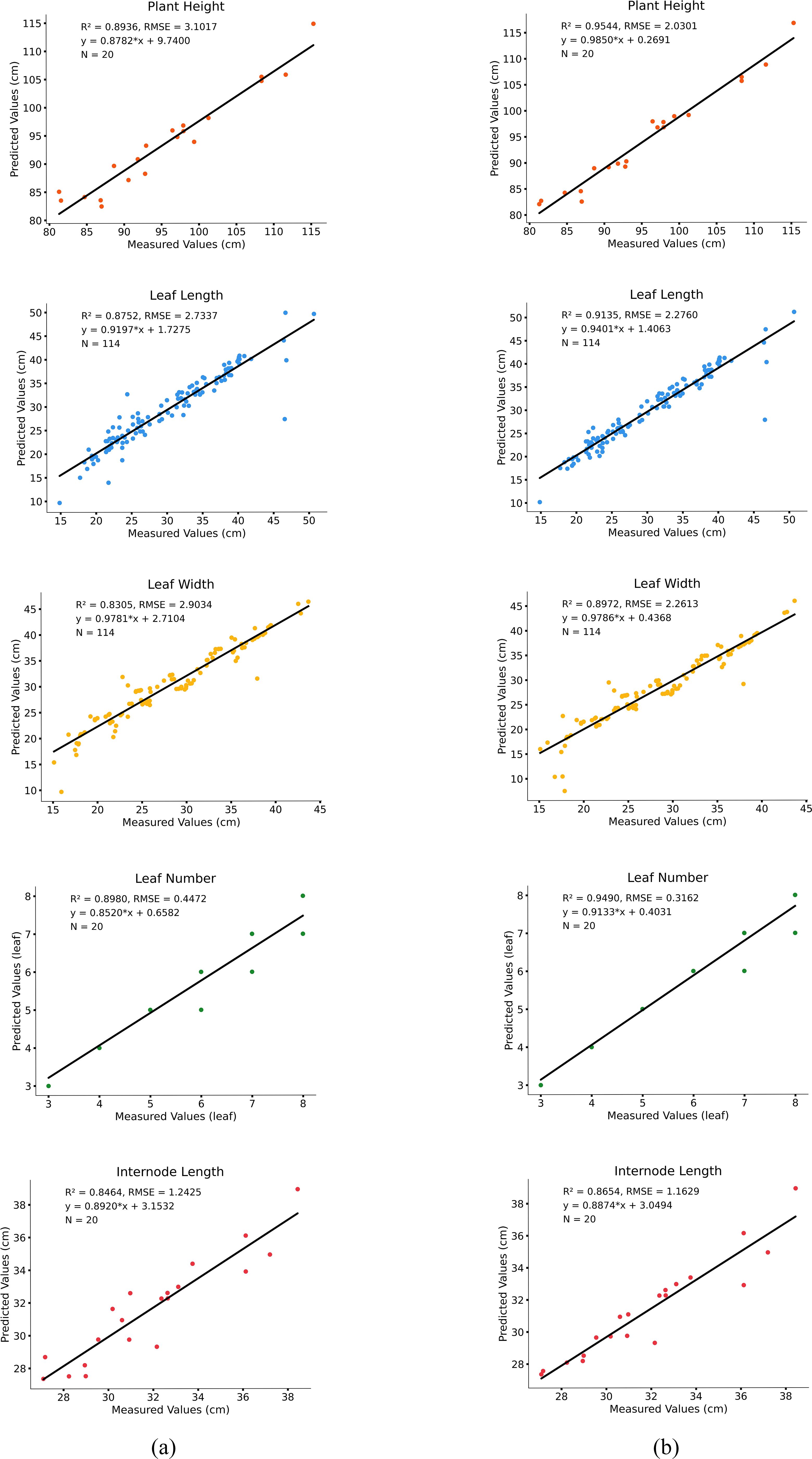 Scatter plots compare predicted versus measured values for five plant traits: plant height, leaf length, leaf width, leaf number, and internode length. Each plot includes a trend line with corresponding equations and statistical metrics such as R-squared and RMSE values, indicating model accuracy. Data points are in varying colors to differentiate traits.