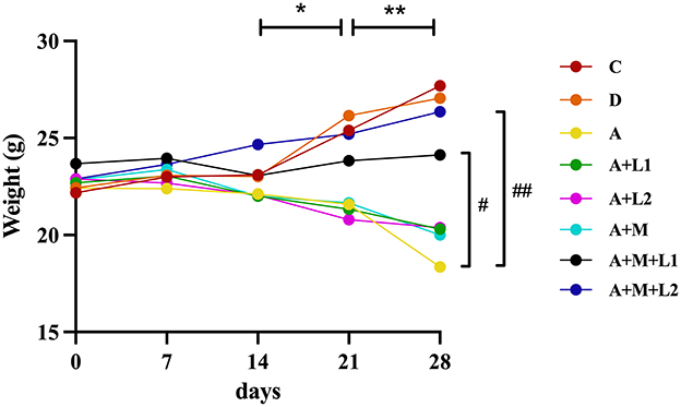 Line graph showing the weight change in grams over 28 days for different groups labeled C, D, A, A+L1, A+L2, A+M, A+M+L1, A+M+L2. Weight increases for most groups except A+L2, which decreases. Significant differences are marked.