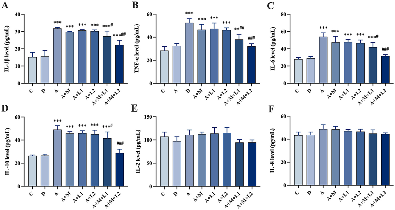 Bar graphs labeled A to F show the levels of cytokines IL-1β, TNF-β, IL-6, IL-10, IL-2, and IL-8 in pg/mL across various experimental conditions: C, D, A, A+M, A+L1, A+L2, A+H1.1, A+H1.2, A+MH1.1, A+MH1.2. Significant differences are marked with asterisks and hash symbols, indicating statistical variations among groups. The levels generally increase from C to A, with subsequent variations across other conditions.