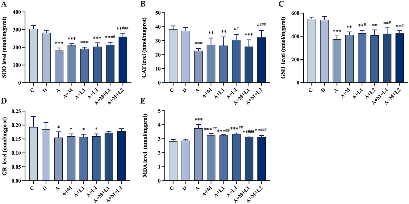 Bar graphs A to F show the relative expression of different cytokines: IL-1β, TNF-β, IL-6, IL-10, IL-2, and IL-8. Each graph compares control (C), disease (D), and various treatment groups. Significance levels are indicated with asterisks and hashes, showing variations among the groups in cytokine expression levels. Bars are shaded in gradients of blue.