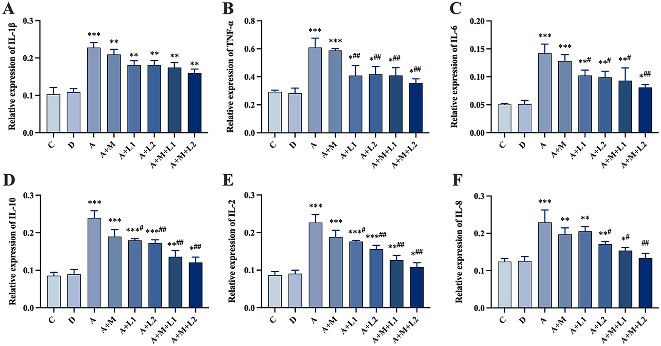 Bar graphs labeled A to E compare levels of SOD, CAT, GSH, GR, and MDA, respectively, in different treatment groups denoted as C, D, A, A+M, A+L1, A+L2, A+H1L1, A+H1L2. Error bars are present. Significant differences are marked with asterisks and hashes, indicating statistical significance between varying levels.