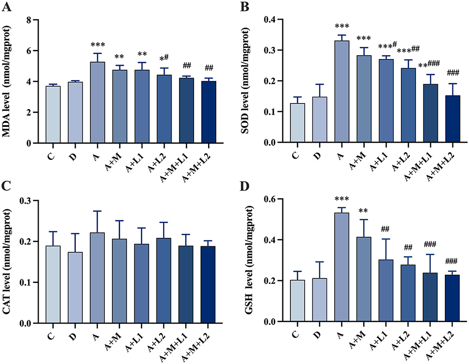 Bar graphs labeled A to D display levels of MDA, SOD, CAT, and GSH in nmol/mg protein across different groups (C, D, A, A+M, A+L1, A+L2, A+M+L1, A+M+L2). Significant differences are marked with asterisks and hash symbols, indicating statistical analysis. Each graph shows varied levels among groups.