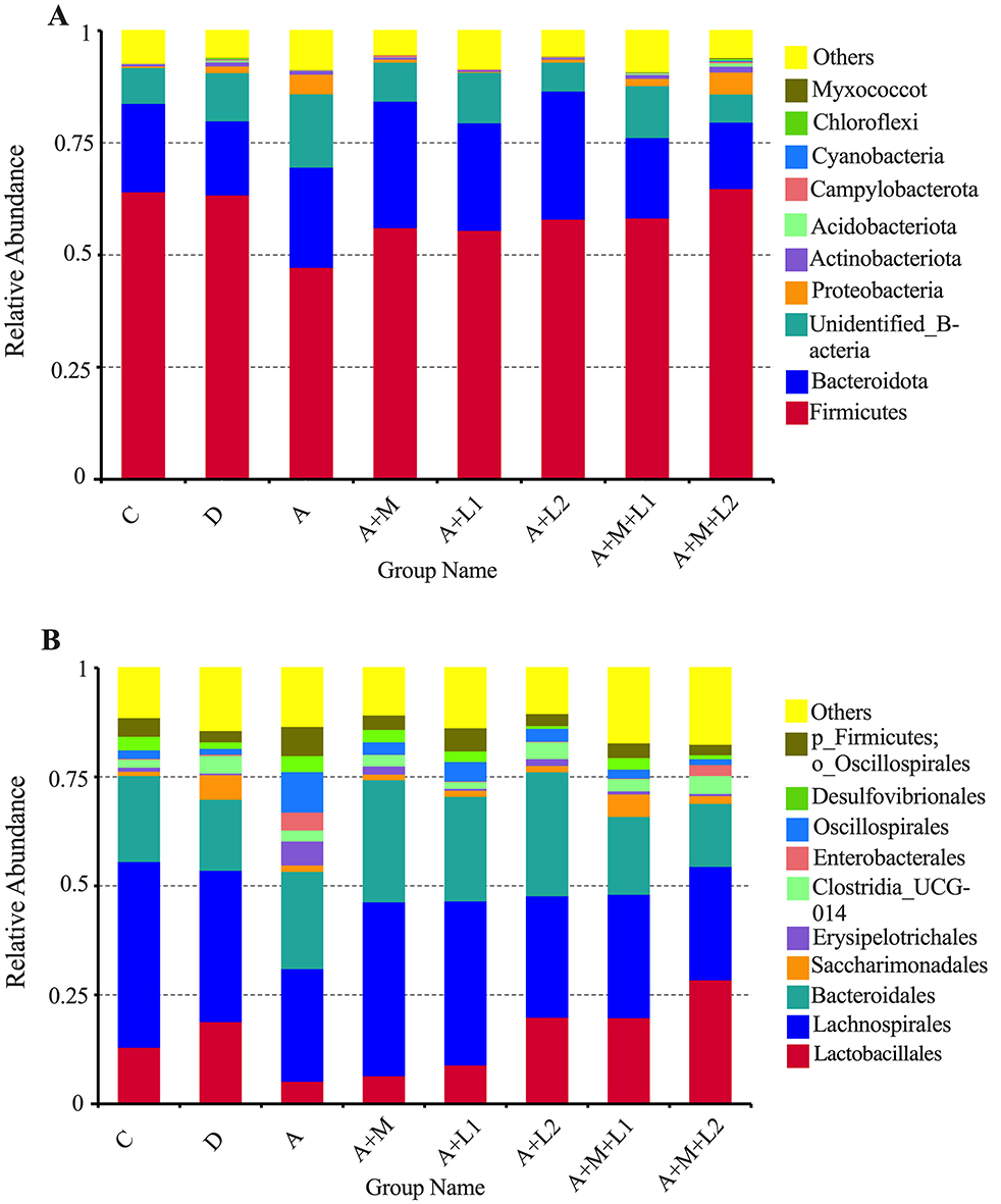 Bar charts labeled A and B depict the relative abundance of various bacterial groups across different samples, indicated as C, D, A, A+M, A+L1, A+L2, A+M+L1, A+M+L2. Chart A includes groups like Firmicutes, Bacteroidota, and Actinobacteriota. Chart B features groups such as Eactobacillales, Lachnospirale, and Oscillospirales, among others, with a color-coded legend for reference.