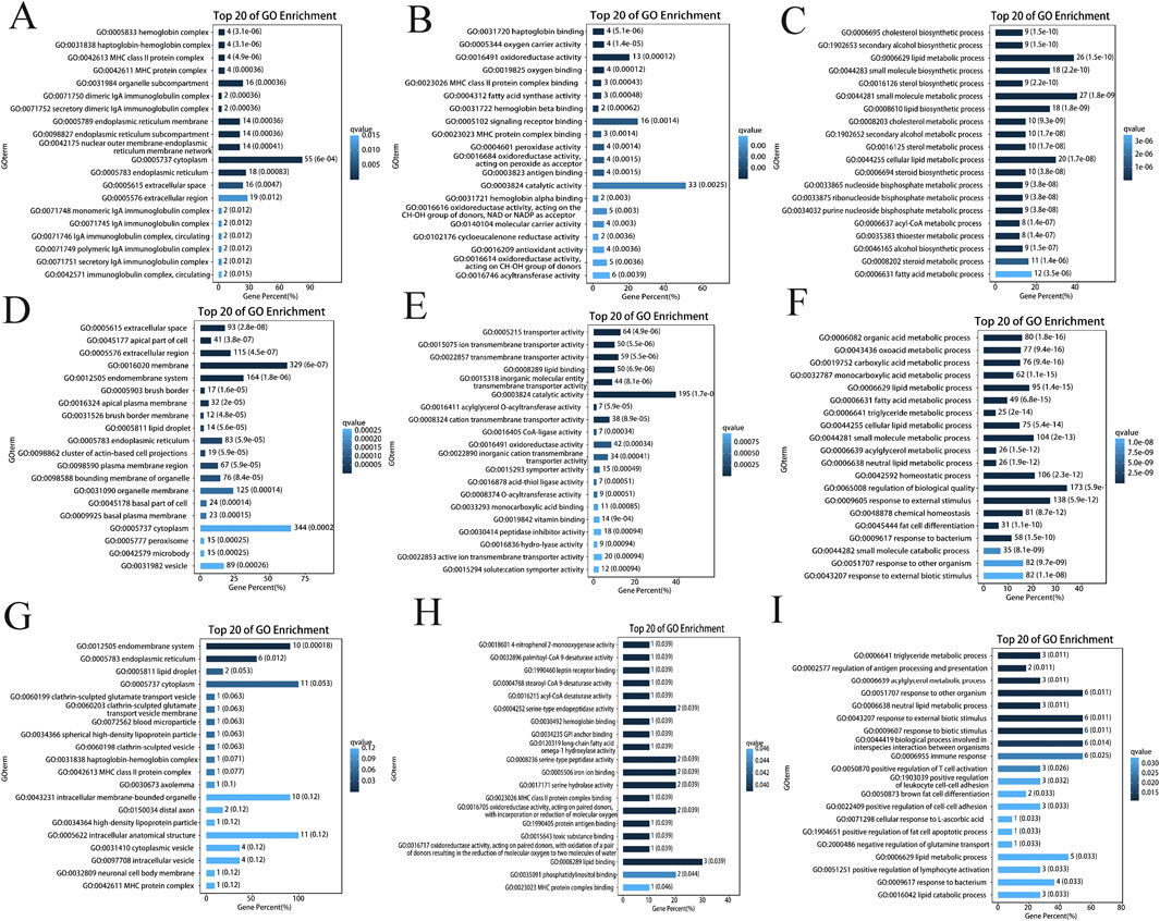 Nine bar charts labeled A to I display the top twenty Gene Ontology (GO) enrichments, showing gene percentages on the X-axis and GO terms on the Y-axis. Each chart includes varying shades of blue to represent different P-values. The charts compare different sets of genes across various biological processes and cellular components.