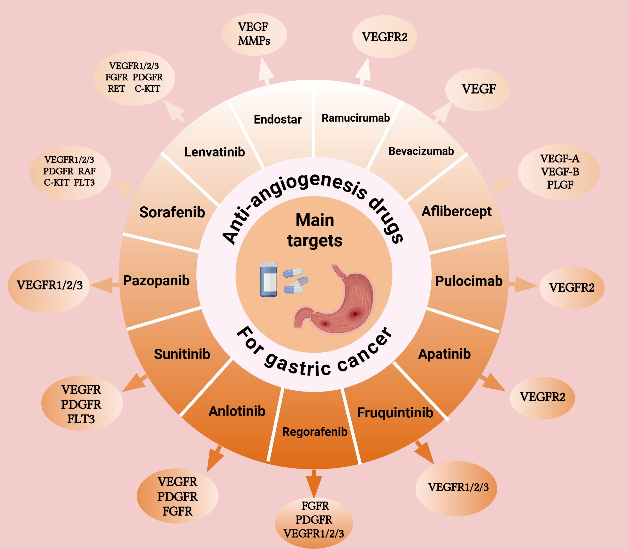 Diagram illustrating anti-angiogenesis drugs for gastric cancer. Drugs include Lenvatinib, Sorafenib, Pazopanib, Sunitinib, Anlotinib, Regorafenib, Fruquintinib, Apatinib, Pulocimab, Aflibercept, Bevacizumab, Ramucirumab, and Endostar. Each drug targets specific receptors, such as VEGFR1/2/3, FGFR, PDGFR, and VEGF. Central focus is on treating gastric cancer.