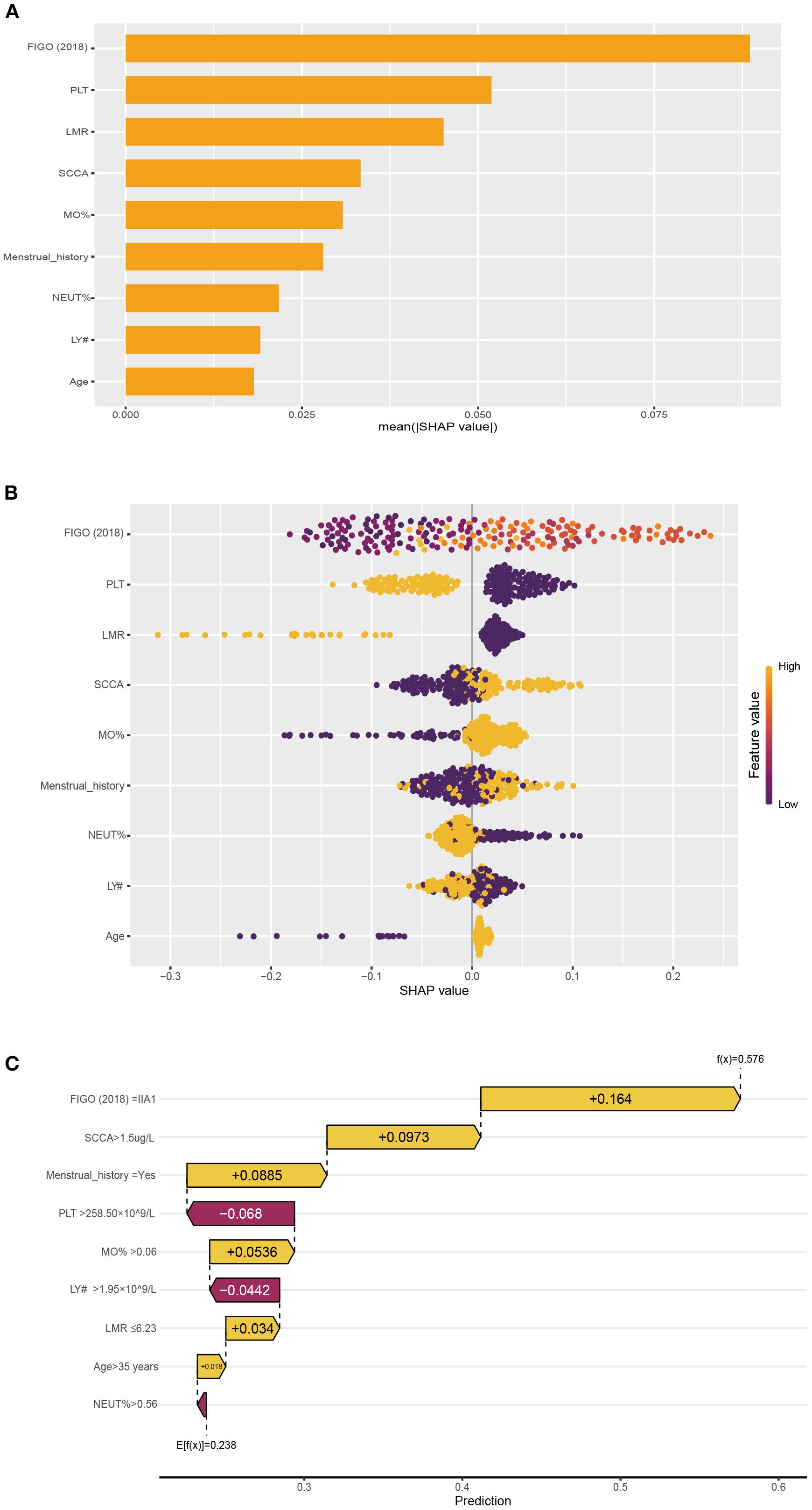 Three graphs illustrate feature importance using SHAP values in a model. Graph A is a horizontal bar chart showing the mean SHAP values for various features, with F3G local_2019 having the highest value. Graph B is a dot plot depicting the distribution of SHAP values for each feature, with a color gradient representing feature values from low (purple) to high (yellow). Graph C shows waterfall plots illustrating the contribution of each feature to the predicted values, highlighting both positive and negative impacts on predictions.