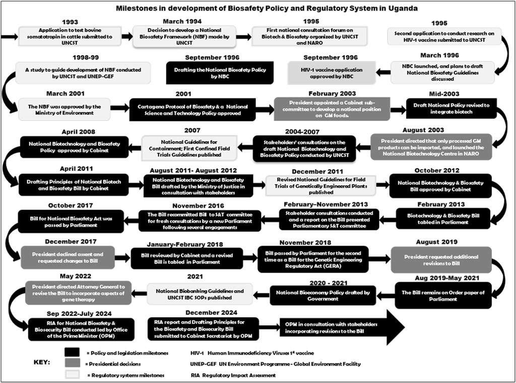Timeline of milestones in the development of biosafety policy and regulatory systems in Uganda from 1993 to 2024. Key events include policy approvals, presidential decisions, stakeholder consultations, and drafting of bills. Notable moments are the approval of the National Biotechnology and Biosafety Policy in 2008, several legislative processes in Parliament, and directives for improving bills and guidelines. The timeline also indicates ongoing efforts for policy enhancement, including the integration of gene therapy aspects and biosecurity regulations. Various stages of policy and regulatory systems are highlighted with distinct colored boxes.