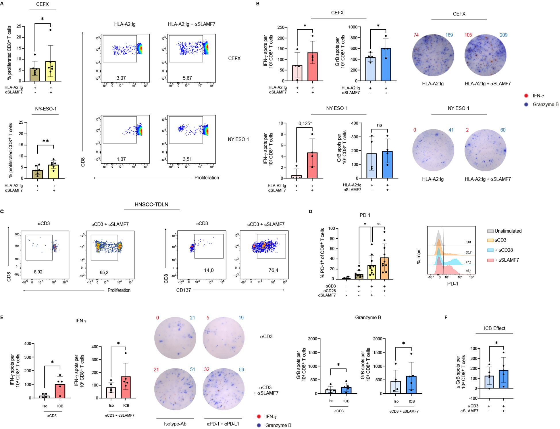A series of scientific data panels demonstrate the effects of different treatments on CD8+ T cells, including proliferation and production of IFN-γ and Granzyme B. Bar graphs, scatter plots, and ELISPOT assays visually present data comparing treatments such as HLA-A2 Ig, αSLAMF7, and combinations. Each section showcases different experimental parameters, with statistical significance highlighted. The diagrams depict variations in cell behavior under treatment with immune modulators, emphasizing changes in proliferation and cytokine production.