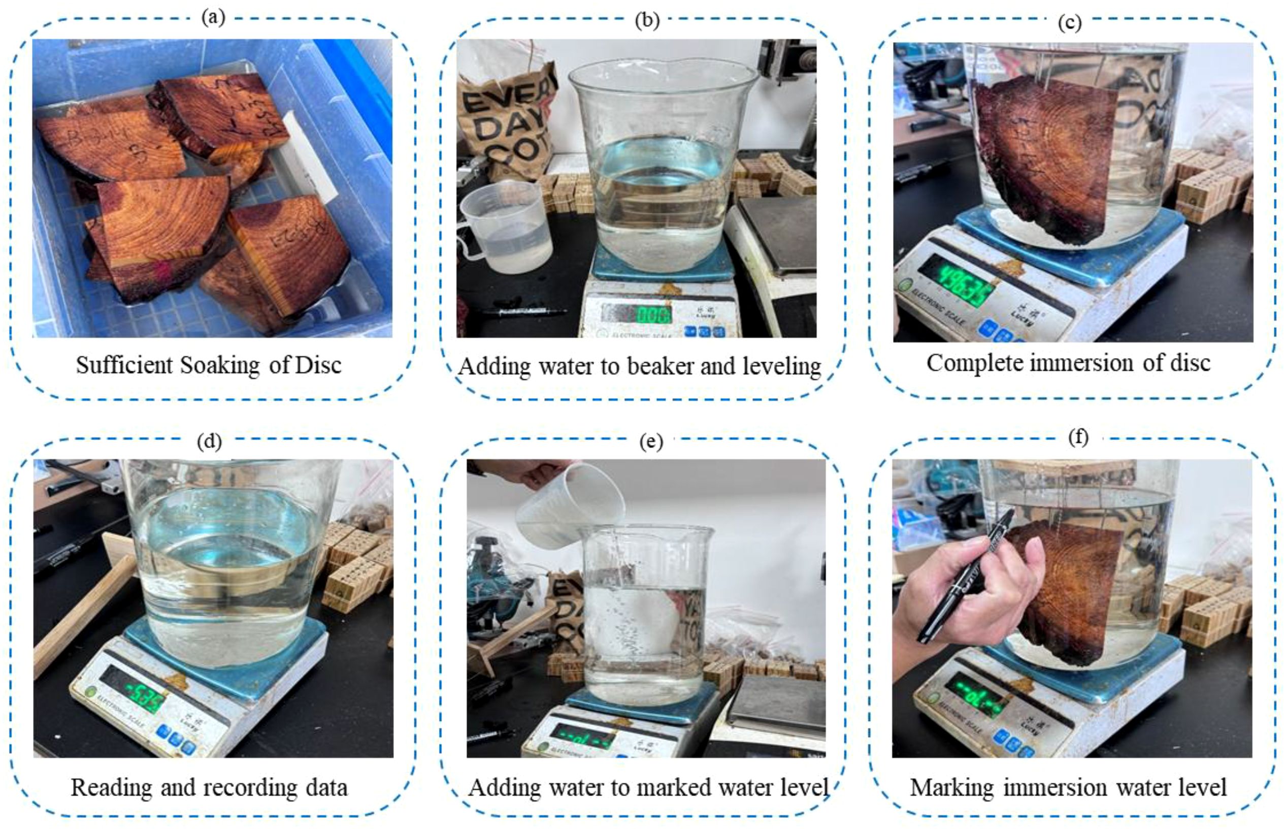 (a) Wooden discs soaking in a container. (b) A beaker being filled and leveled with water on a scale. (c) A disc fully immersed in the water within the beaker. (d) A beaker on a scale with measurements being recorded. (e) Water being poured to a marked level in the beaker. (f) A person marking the water level on the beaker with a pen.