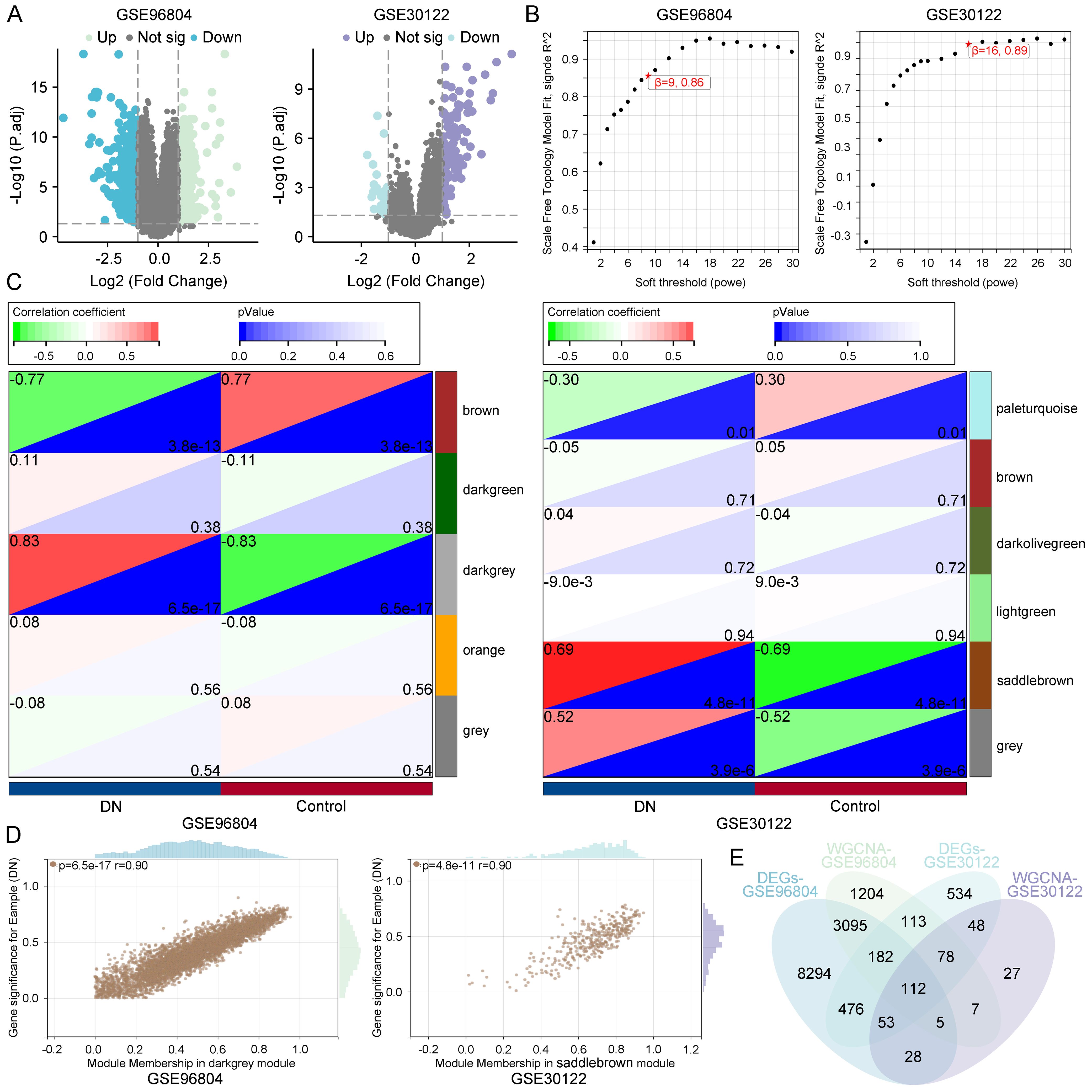 A composite image with multiple data representations: A) Two volcano plots for GSE96804 and GSE30122, highlighting significant gene expression changes. B) Soft thresholding power analysis graphs for both datasets. C) Heatmaps showing correlation coefficients and p-values for gene modules. D) Scatter plots depicting module membership versus gene significance for GSE96804 and GSE30122. E) Venn diagram illustrating overlaps among differentially expressed genes and coexpression network modules.