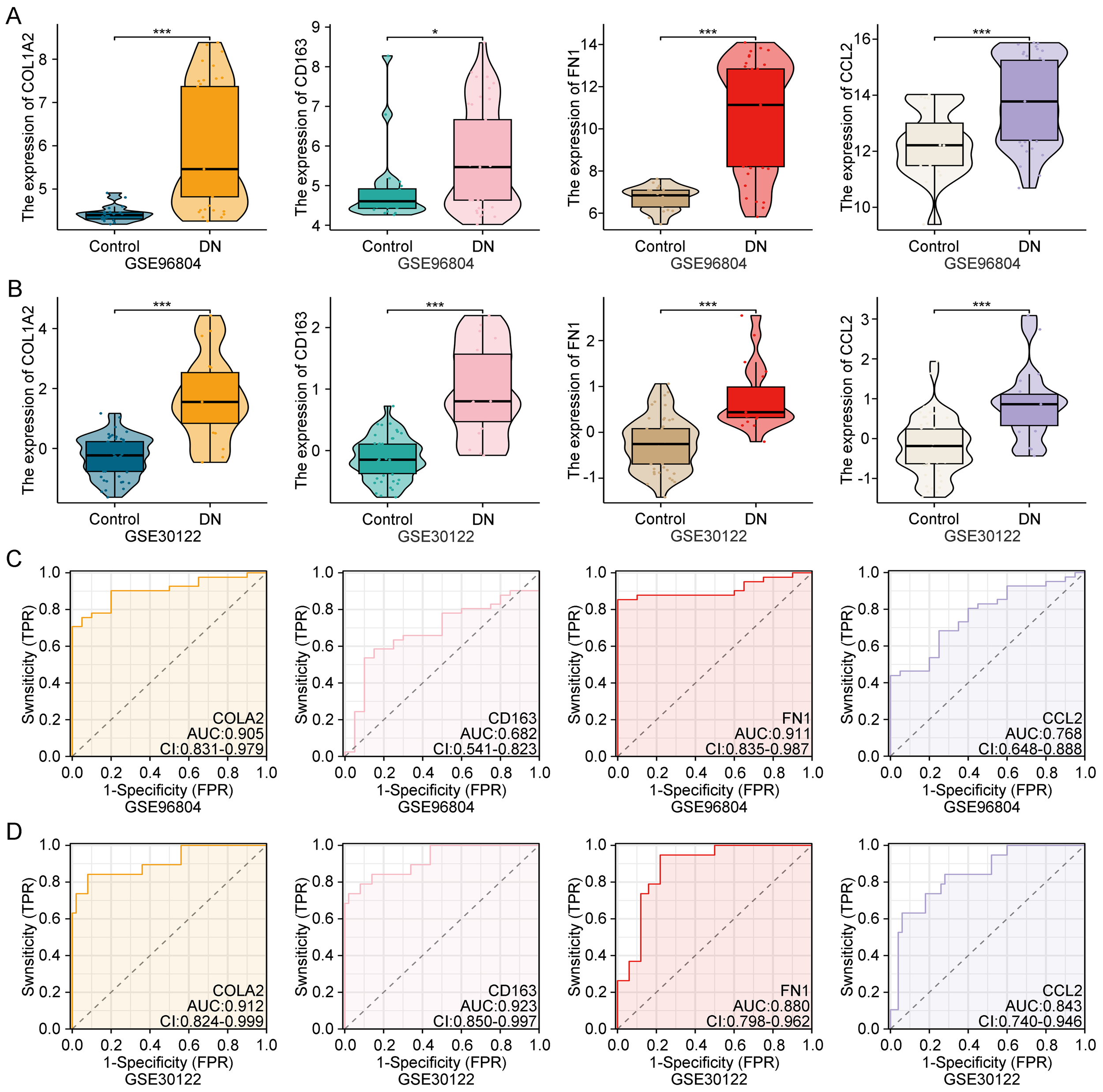 Graphs displaying gene expression and ROC analysis related to control and diabetic nephropathy (DN) groups. Panels A and B show violin plots of COL1A2, CD163, FN1, and CCL2 expression in control vs. DN samples from GSE96804 and GSE30122 datasets. Panels C and D contain ROC curves for these genes within the same datasets, indicating diagnostic performance (AUC values). Statistical significance is denoted by asterisks.