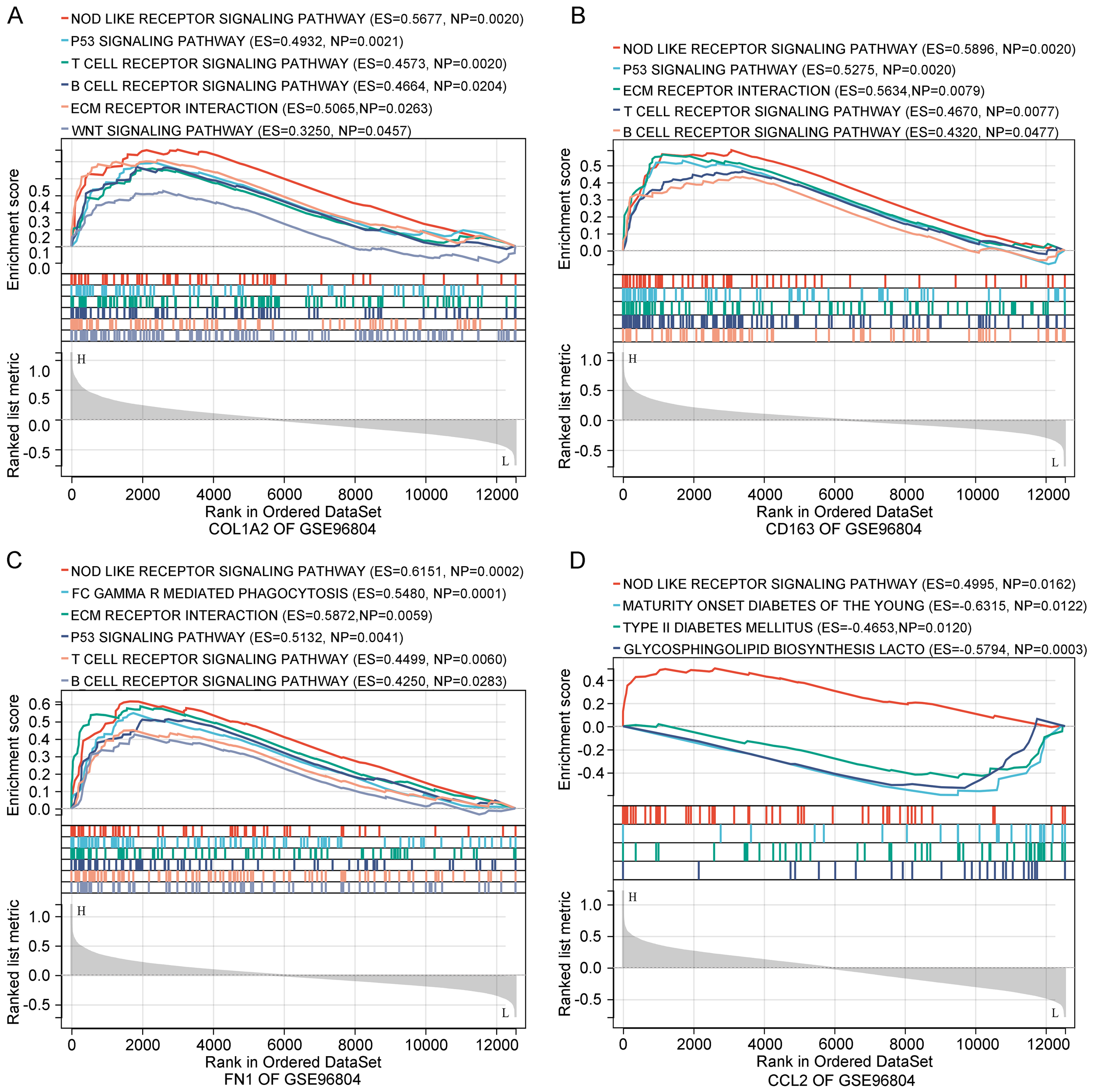 Gene Set Enrichment Analysis (GSEA) plots are displayed in panels A, B, C, and D. Each plot shows enrichment scores, ranked datasets, and signaling pathways for specific genes from the GSE96804 dataset. The x-axis is the rank in the ordered dataset, and the y-axis shows the enrichment score. Pathways such as NOD-like receptor signaling and P53 signaling are highlighted, with specific enrichment scores and nominal p-values noted for each.