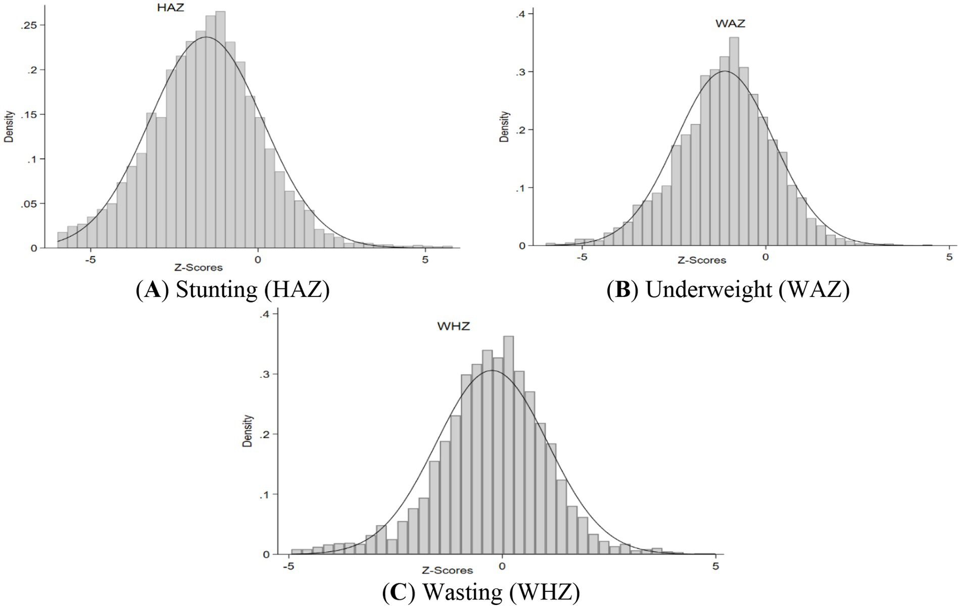 Three histograms displaying density of Z-scores for nutritional indices. (A) Stunting (HAZ) shows a normal distribution centered around zero. (B) Underweight (WAZ) also centers around zero, with a similar bell curve. (C) Wasting (WHZ) follows the same pattern, indicating normal distribution of Z-scores.